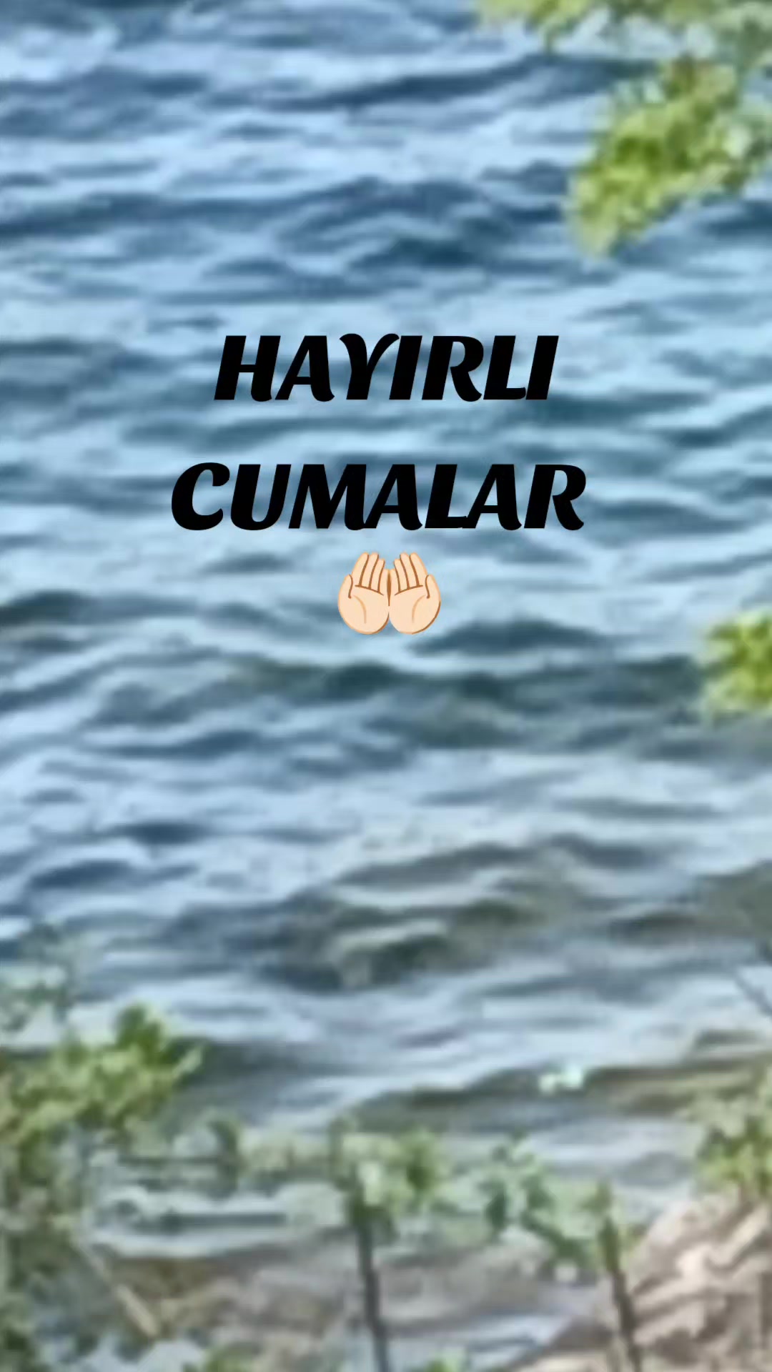 @papatya_65