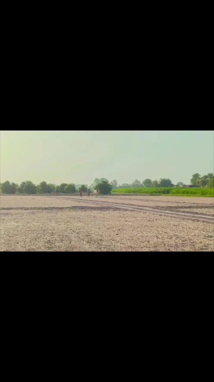 @چوہدری شاہد سلیم مڑل