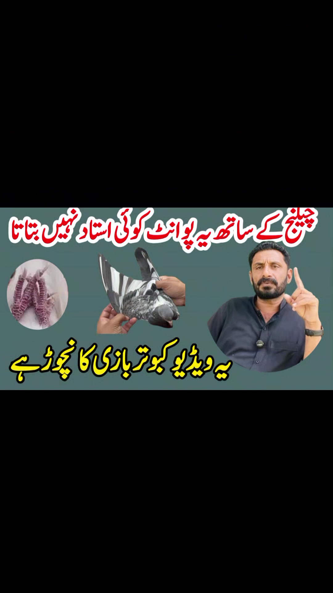 @KABOOTAR PARWAR VLOG