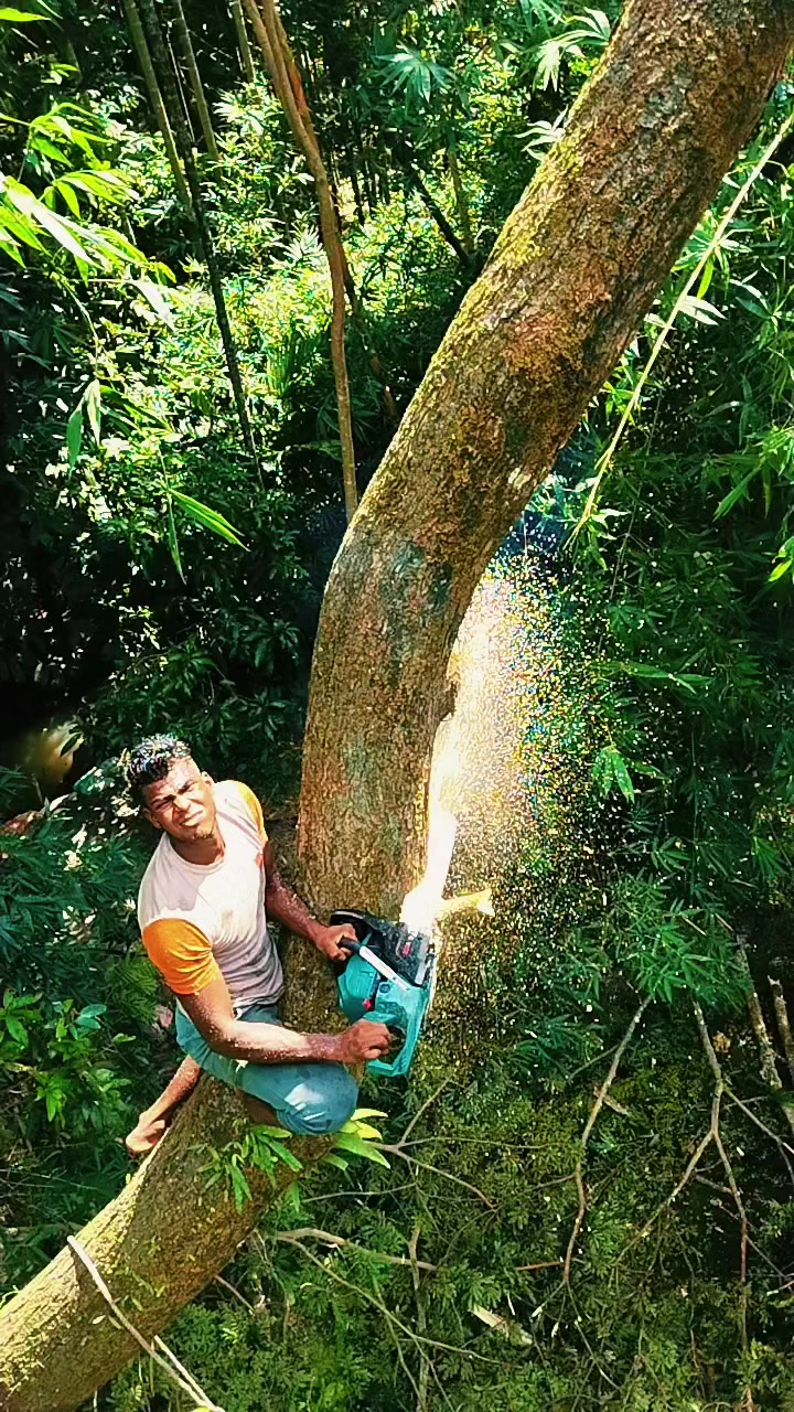@যশোরের পোলা