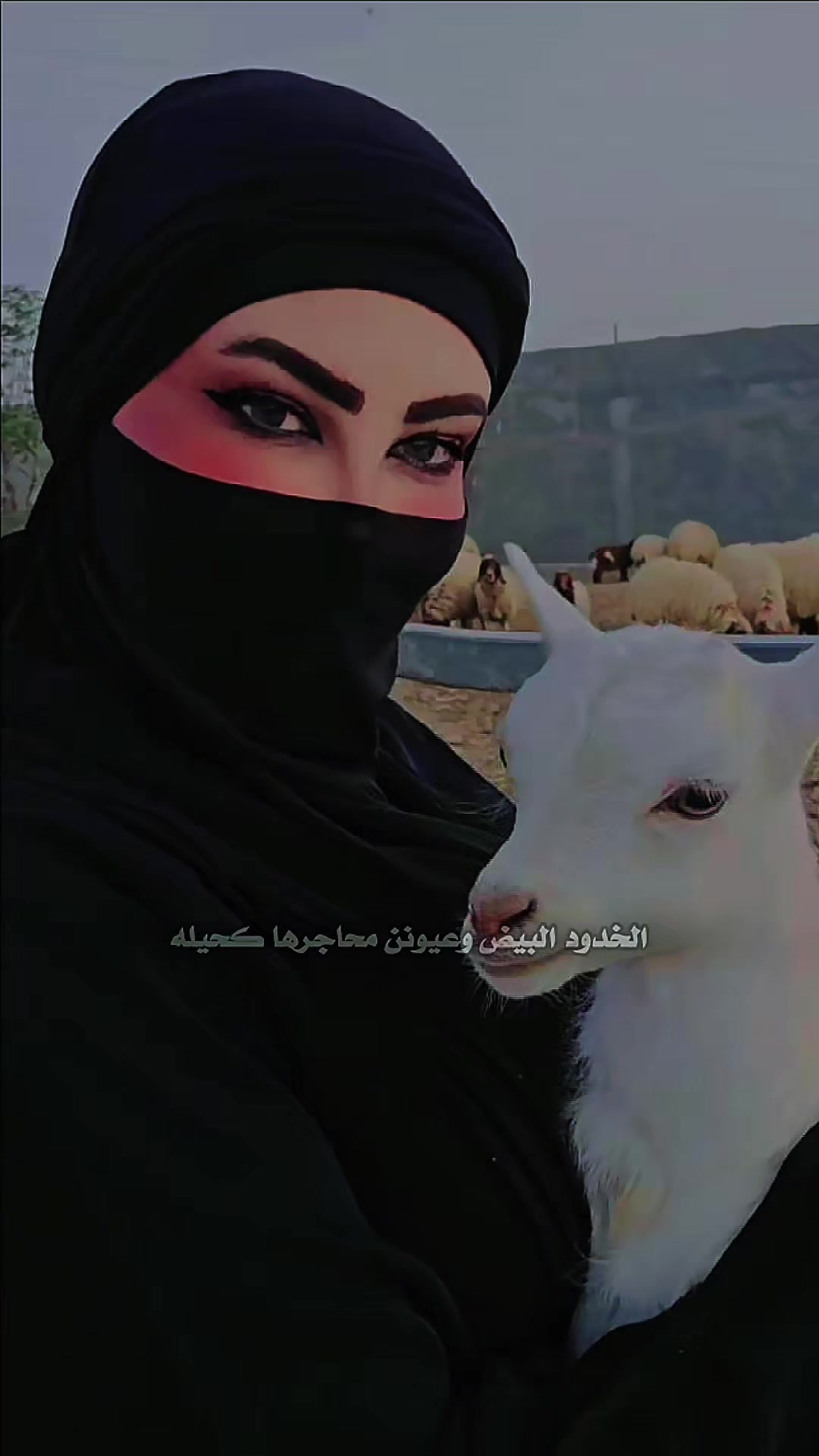@الفارسة الملثمة 🐎🥷