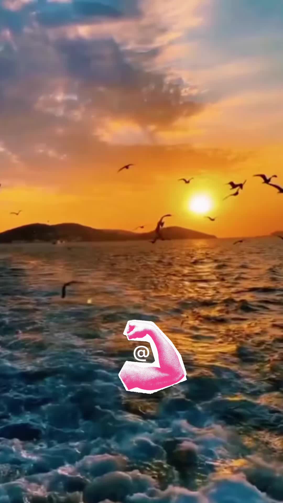 @romeneri14