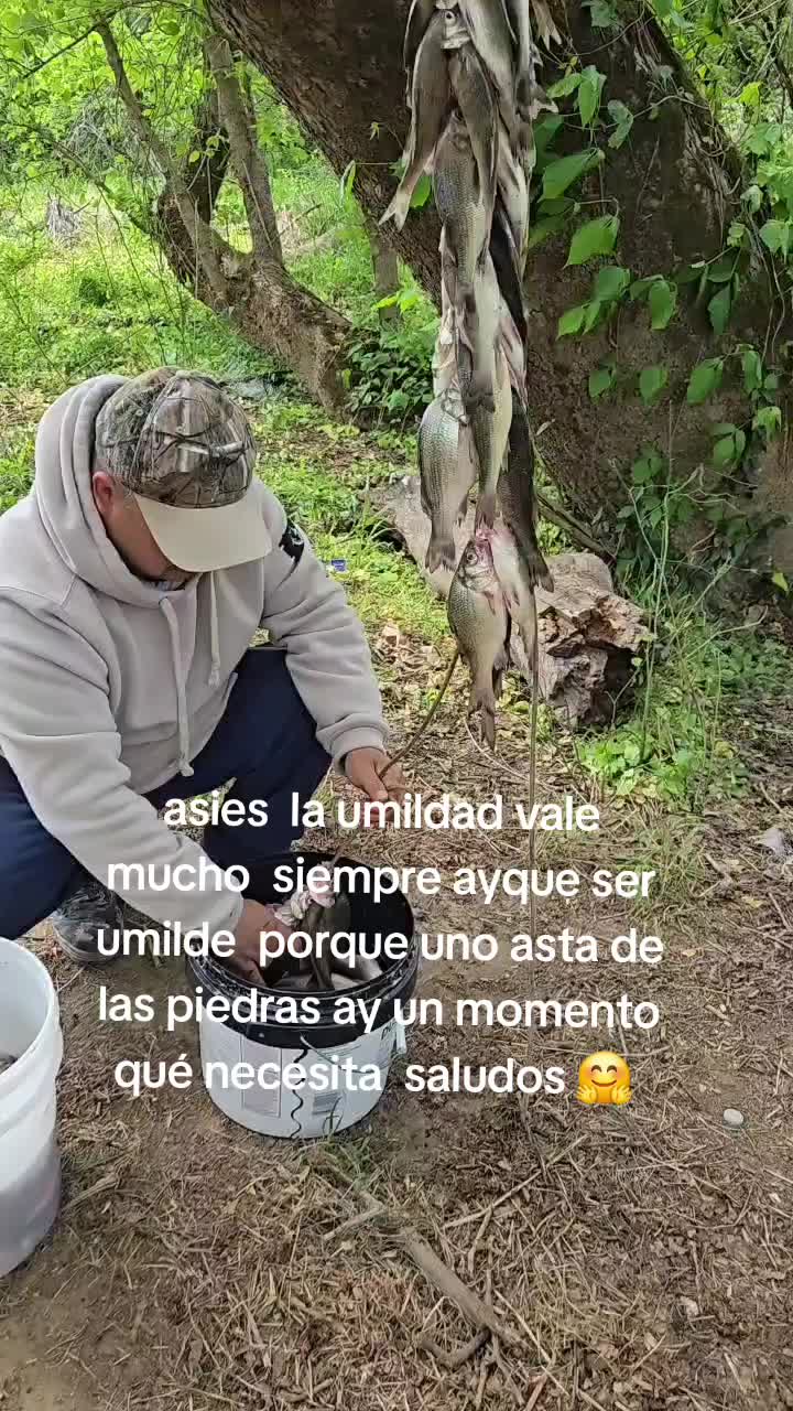 @boty el chapin 502