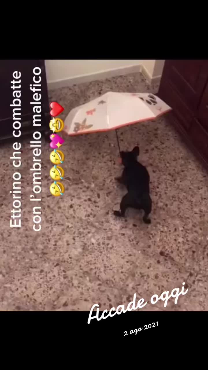 @Apolide