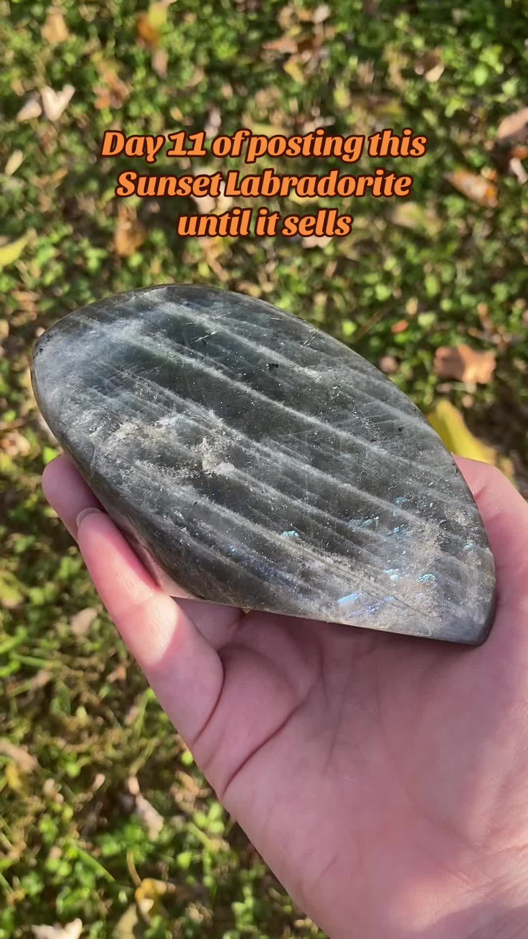 @Zodiac Witch