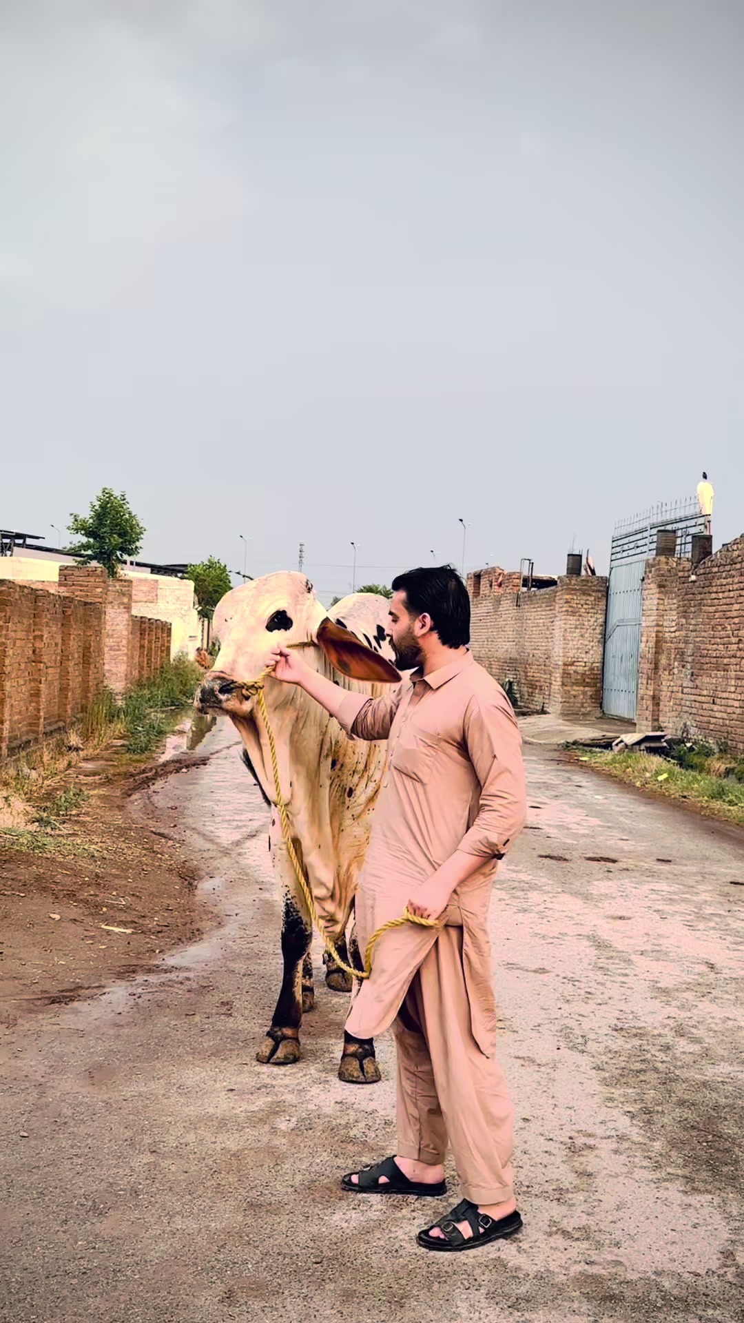 @Shahbaz Khan