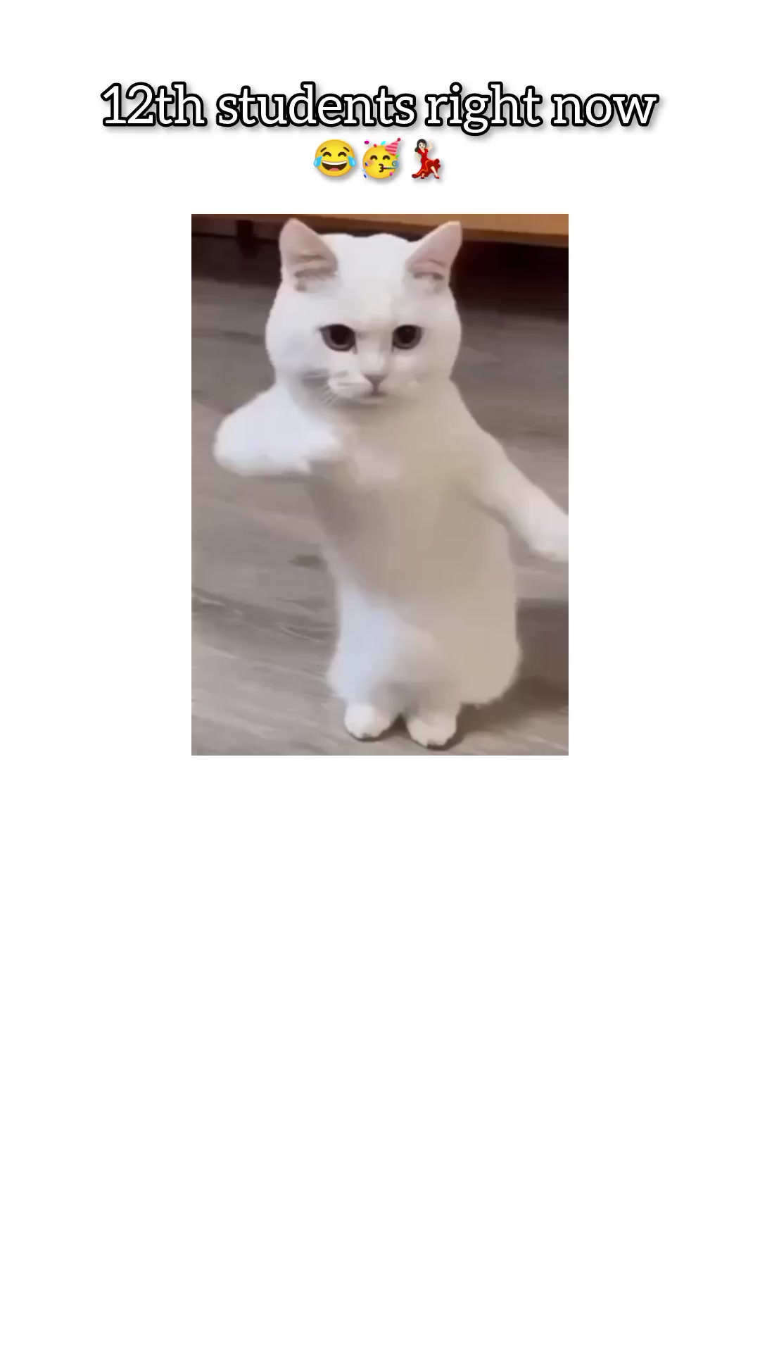 @𝐈𝐒𝐑𝐀🌷