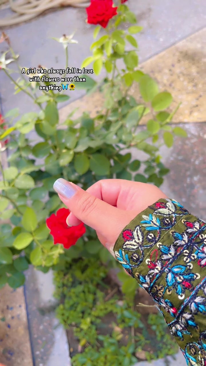 @S:K🦋🌻