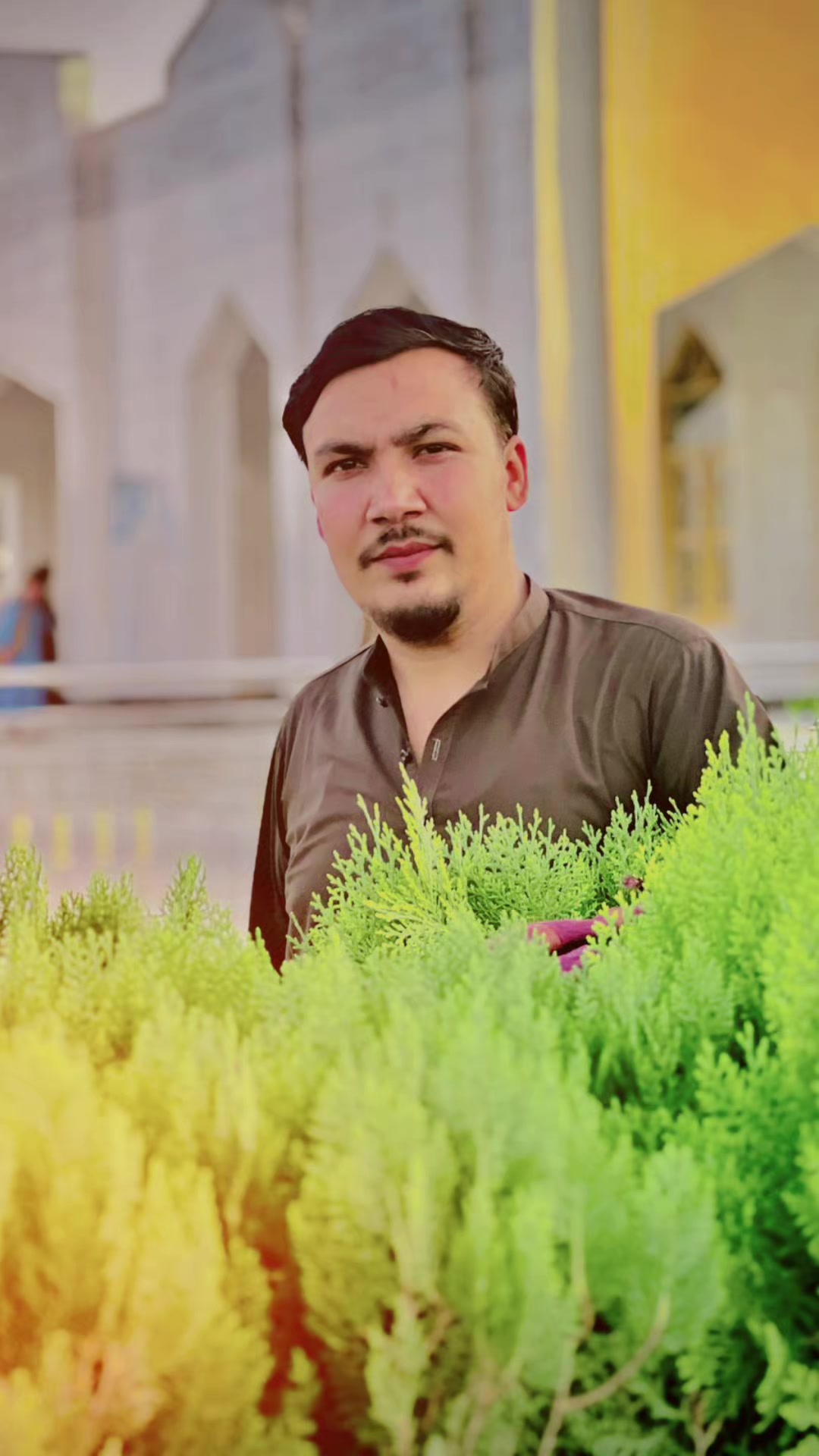 @Zubair Safi