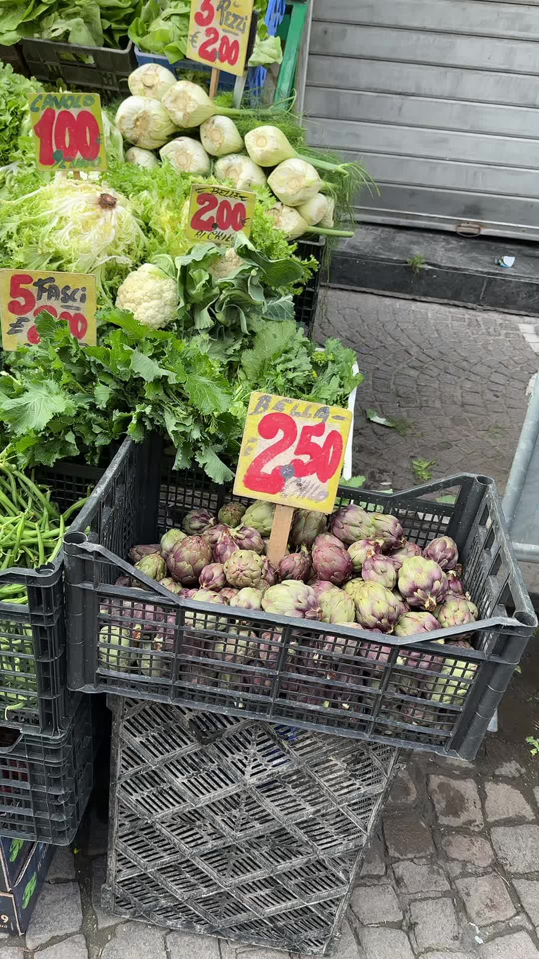 @OASI DELLA FRUTTA DA CESARE 🔥