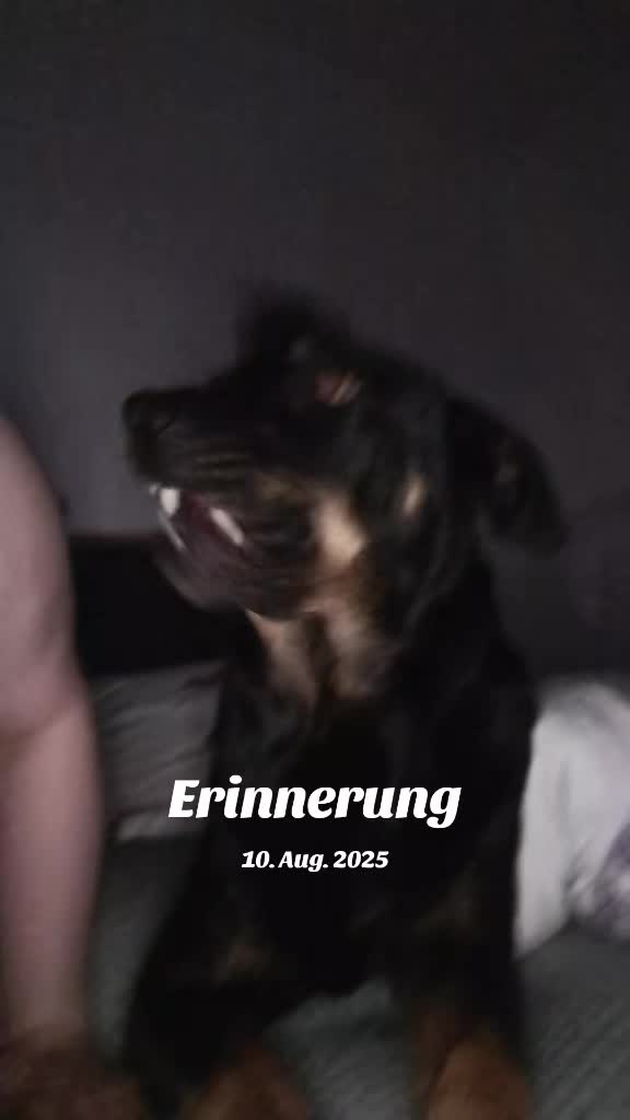 @Verena'sbunte.empathie