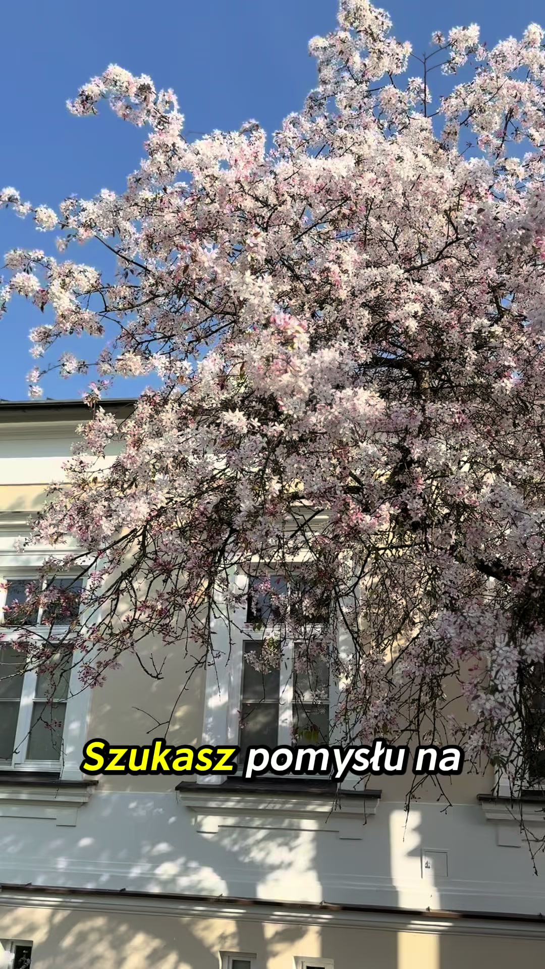 @muzeum.rolnictwa.cc