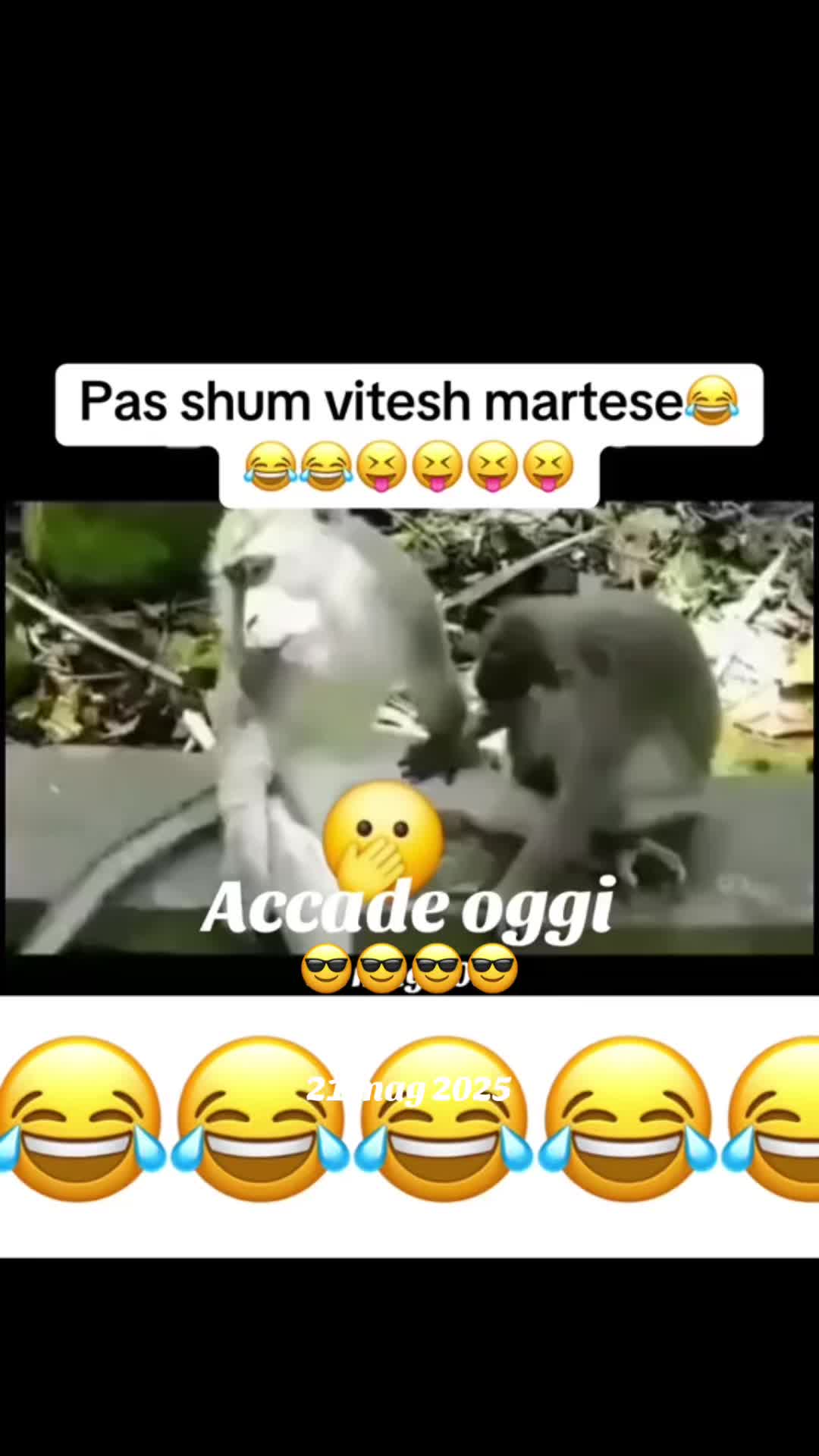@AndiSHIJAk🇦🇱❤️🇮🇹