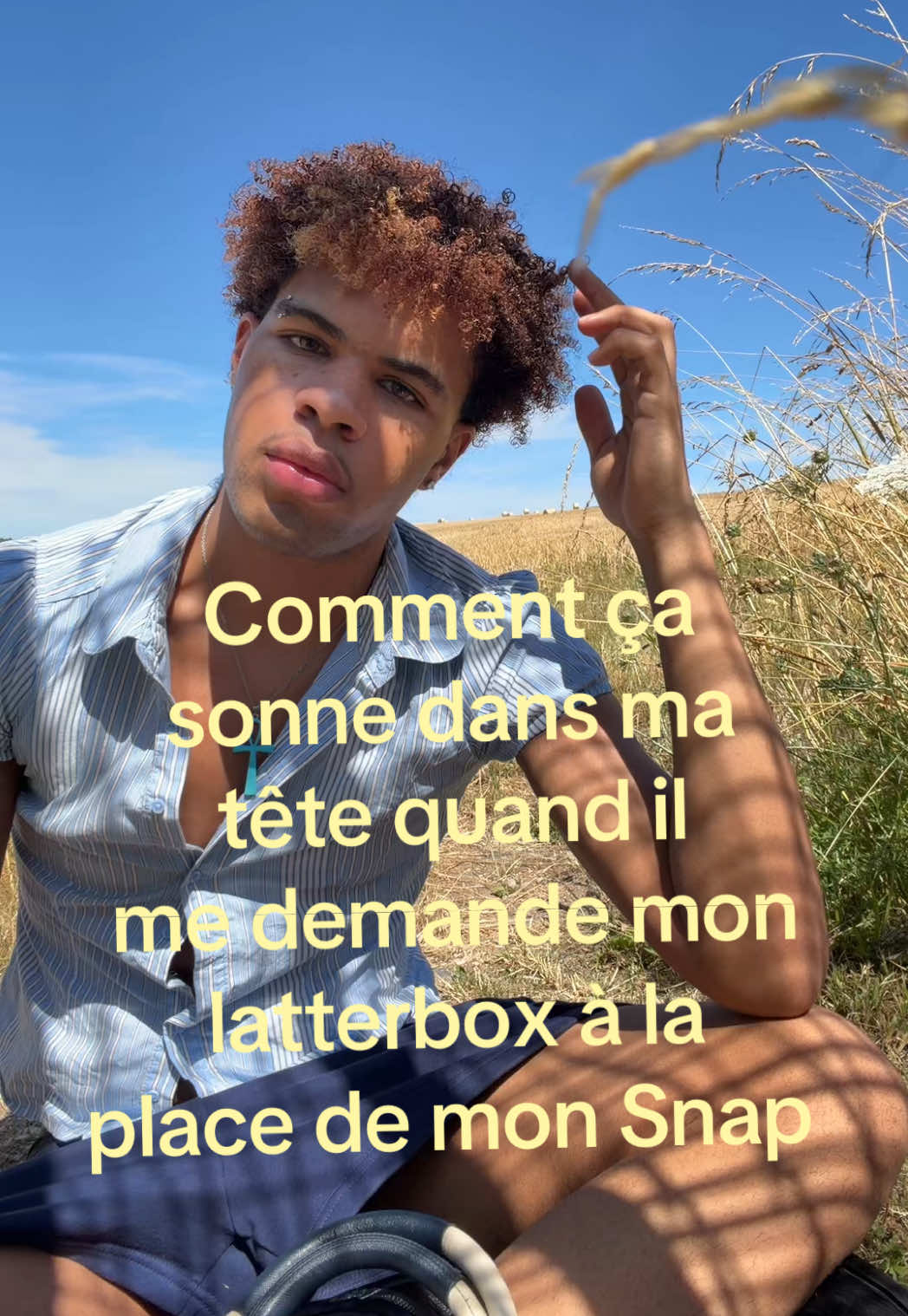 @curtis.vi