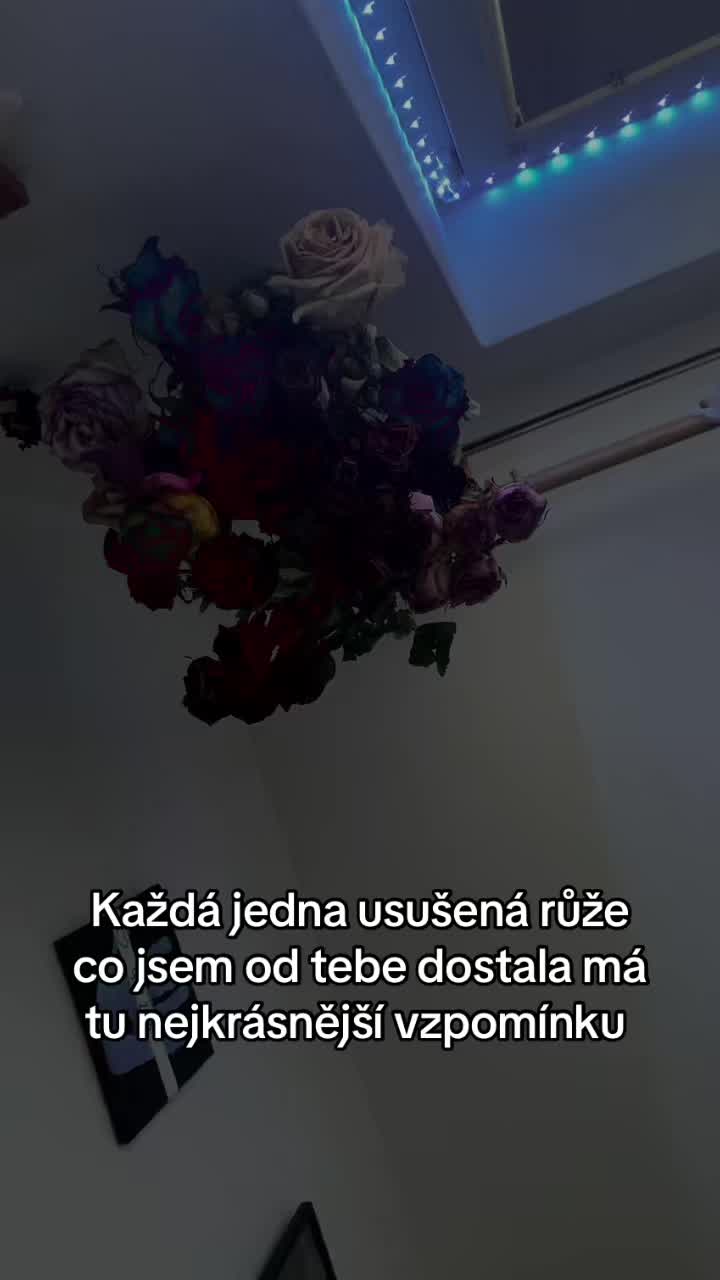 @sarkagradova