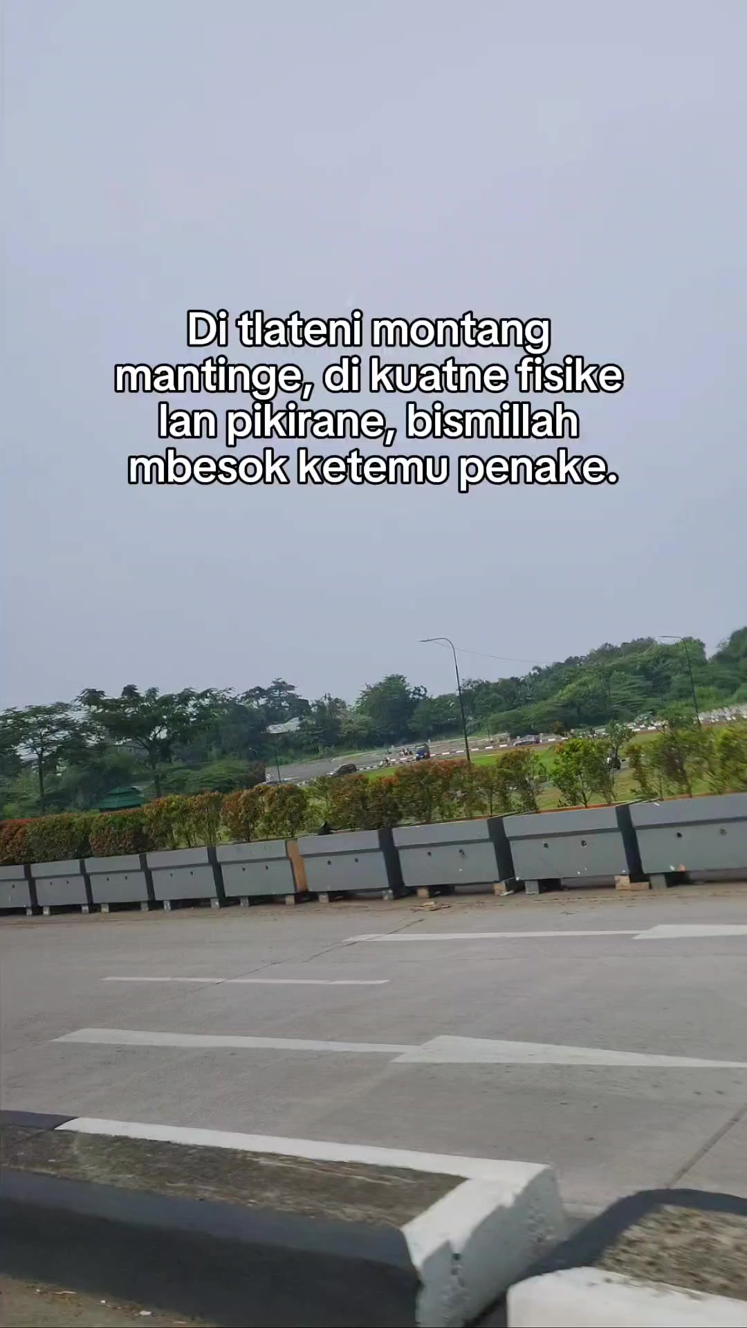 @shanty ravino