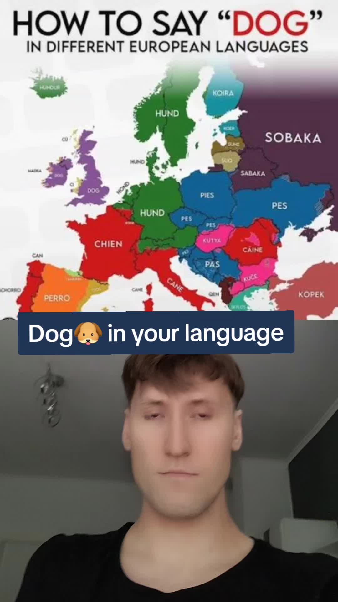 @Andreas Bro!!!🇵🇱