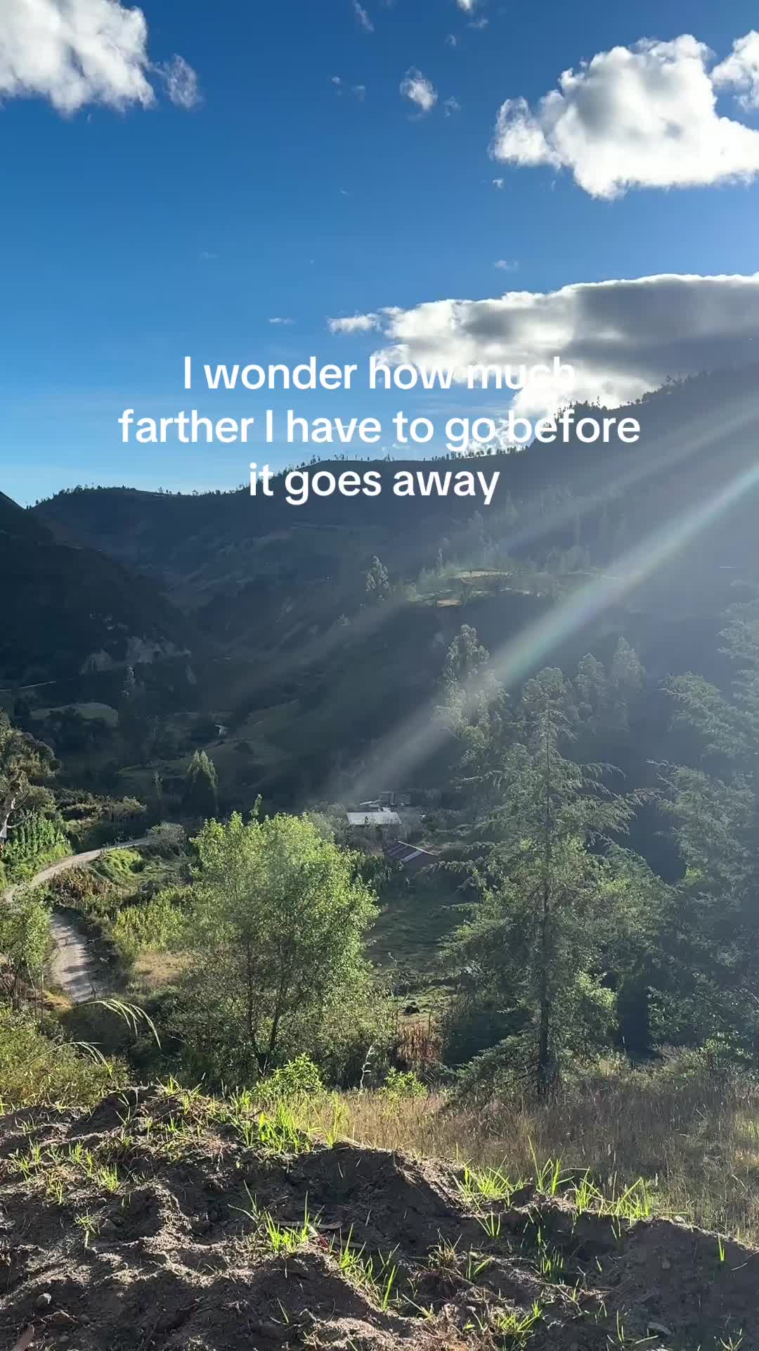 @noahweenie