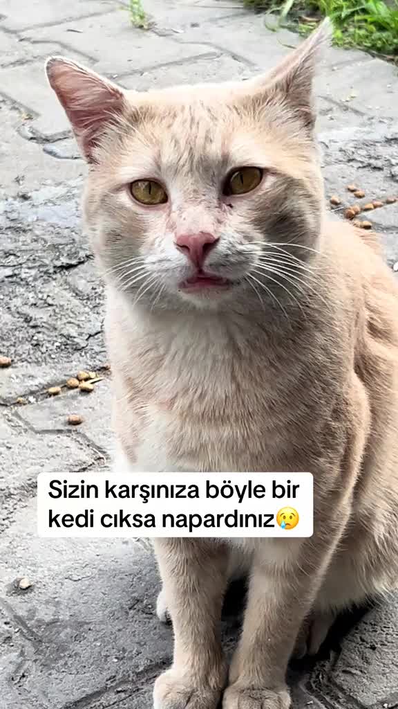 @MUSTAFA38