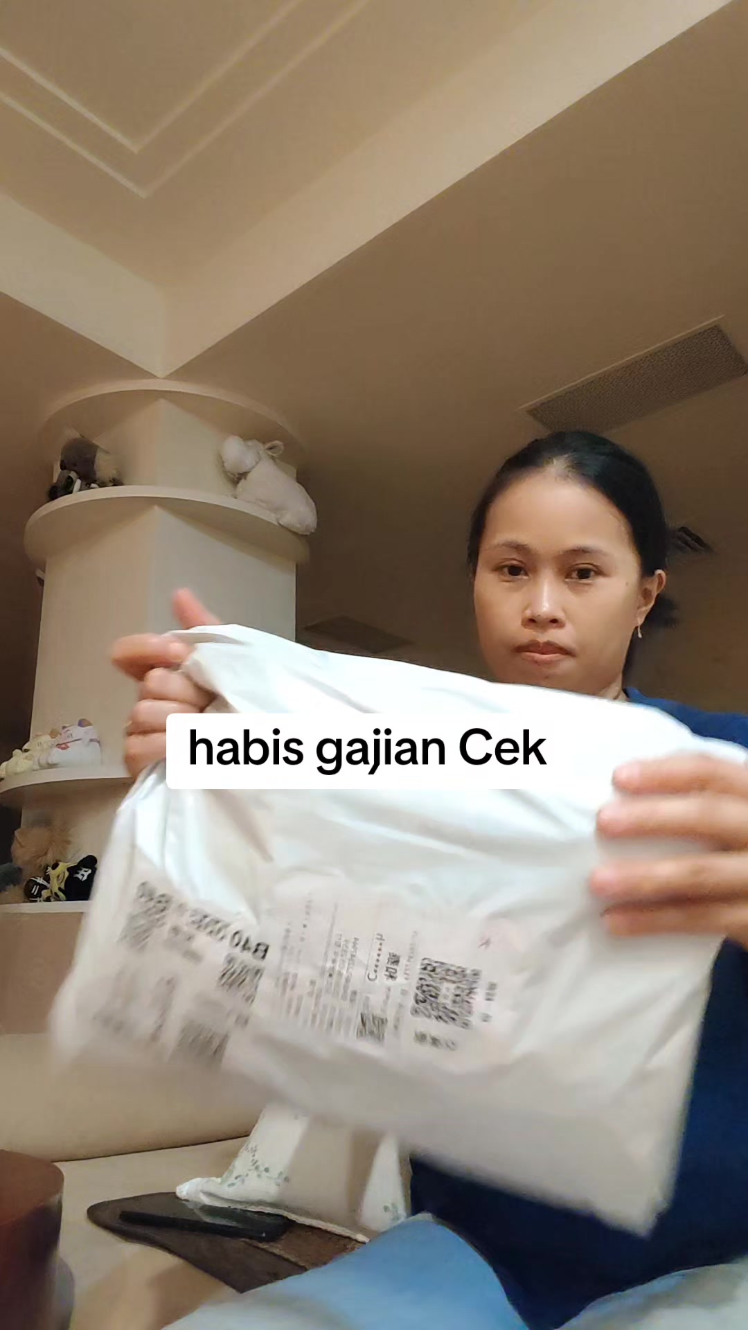 @Gemini 13 🇮🇩🇹🇼