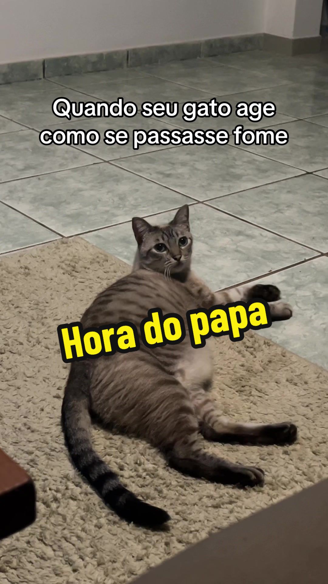 @gabiiorsini