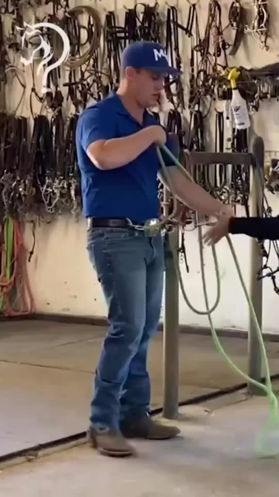 @Horse Help