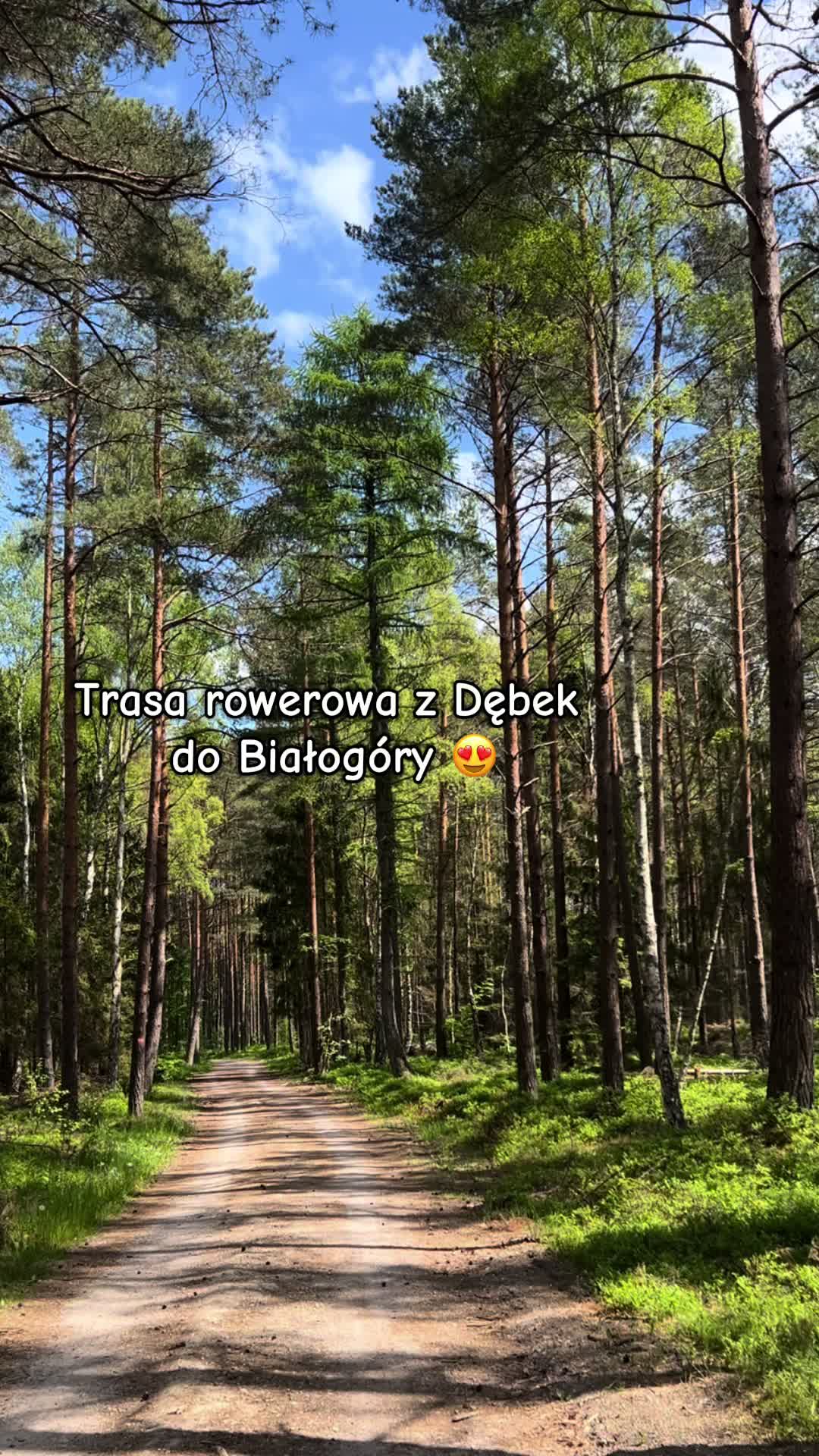@Villa Norda Dębki 🇵🇱