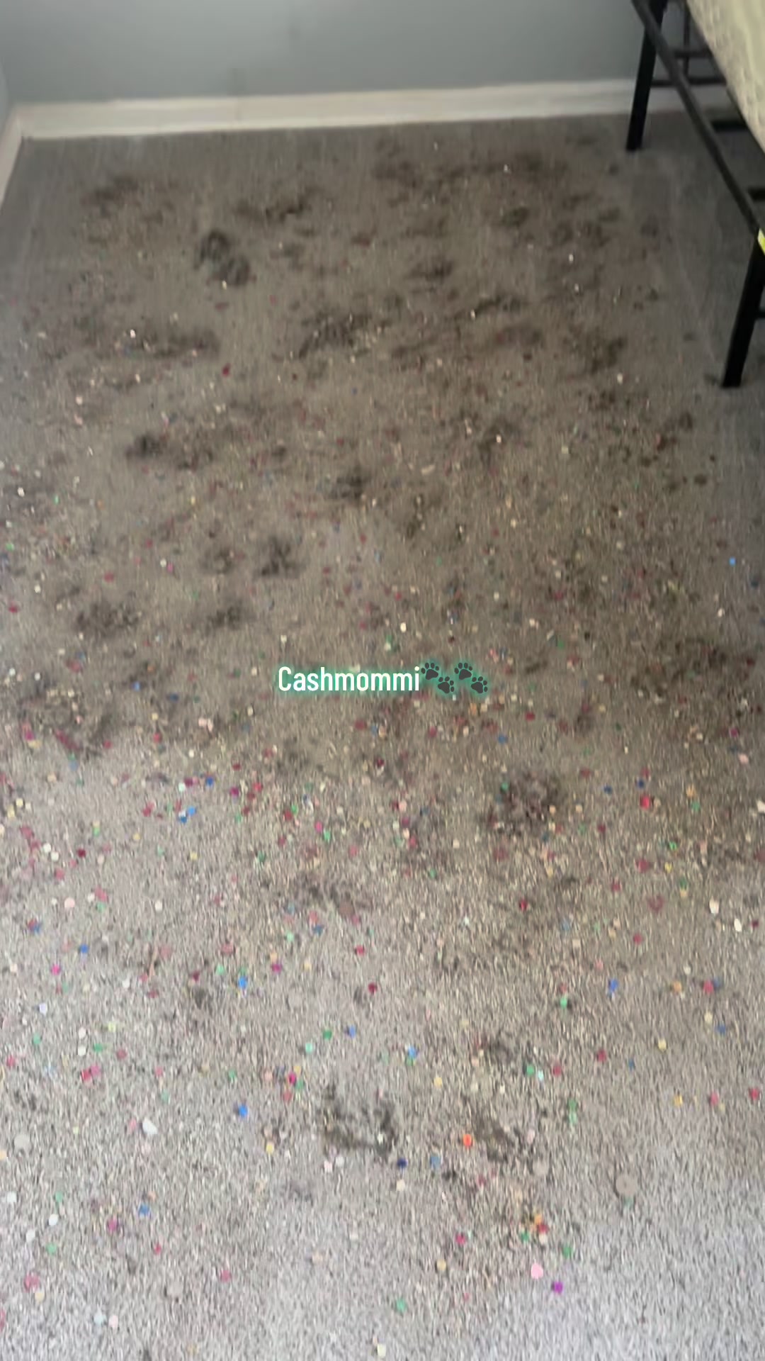 @CashmommiVacs