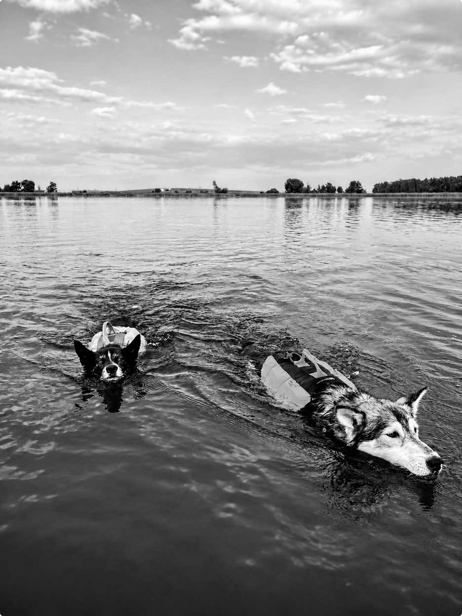 @Agnieszka Ignaszak bikejoring