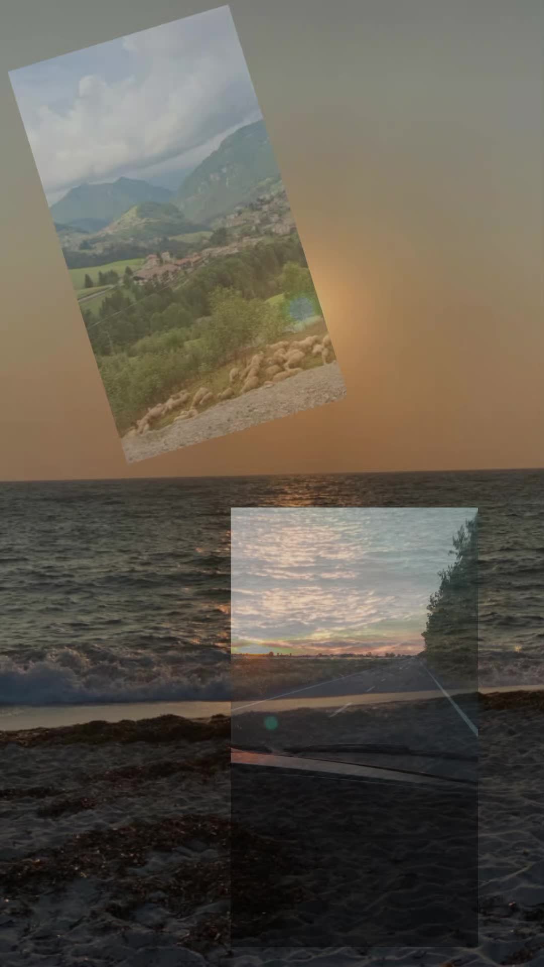 @Lorella.coltro