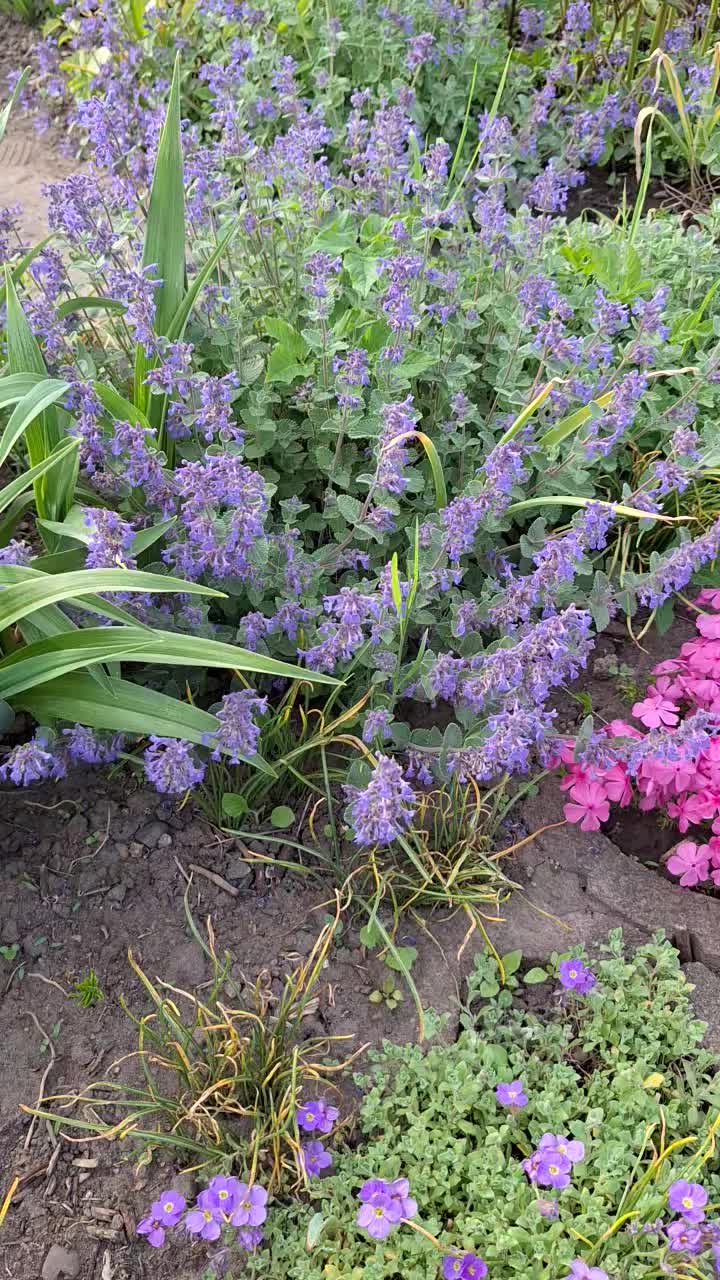 @Natur und Garten