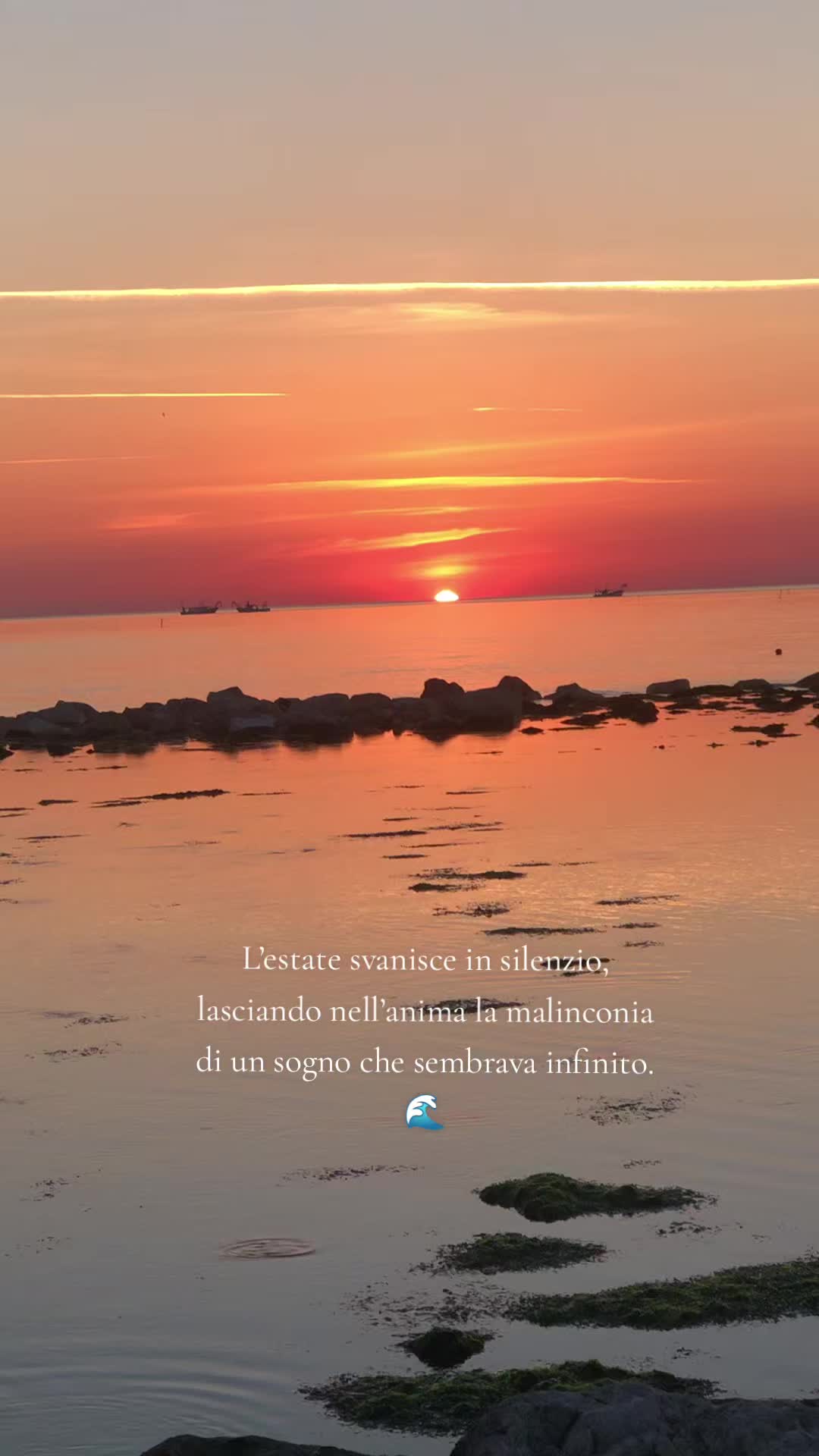 @🌊Donna dA mare🌊