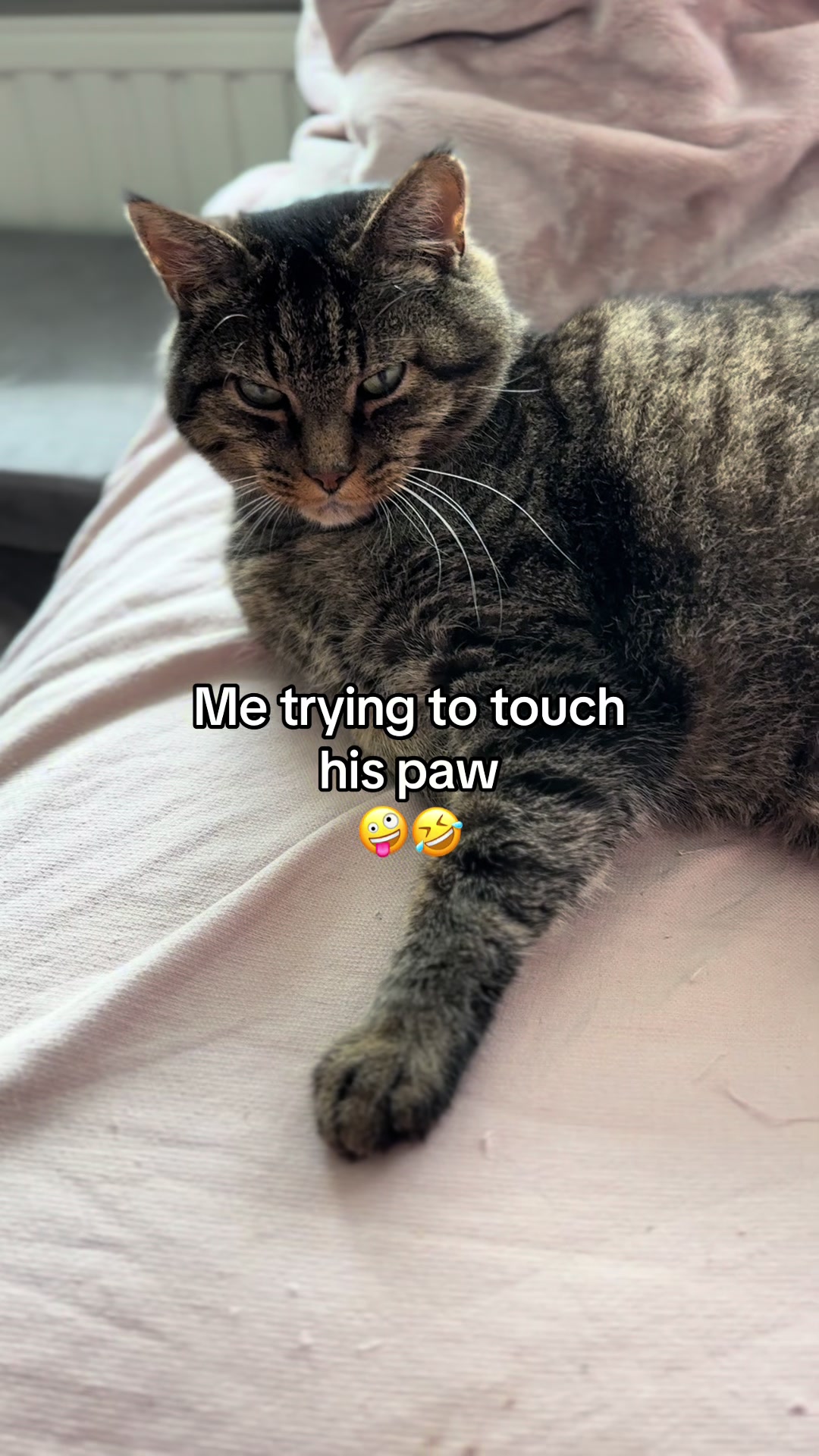 @Joep_the_ rescuecat