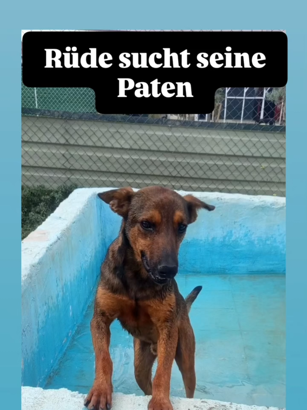 @TSV Candostlari-Beste Freunde