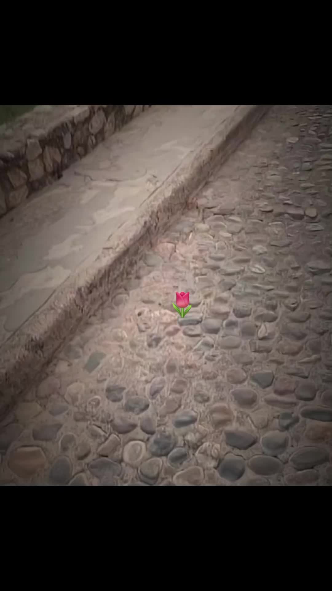 @Valeria 💕