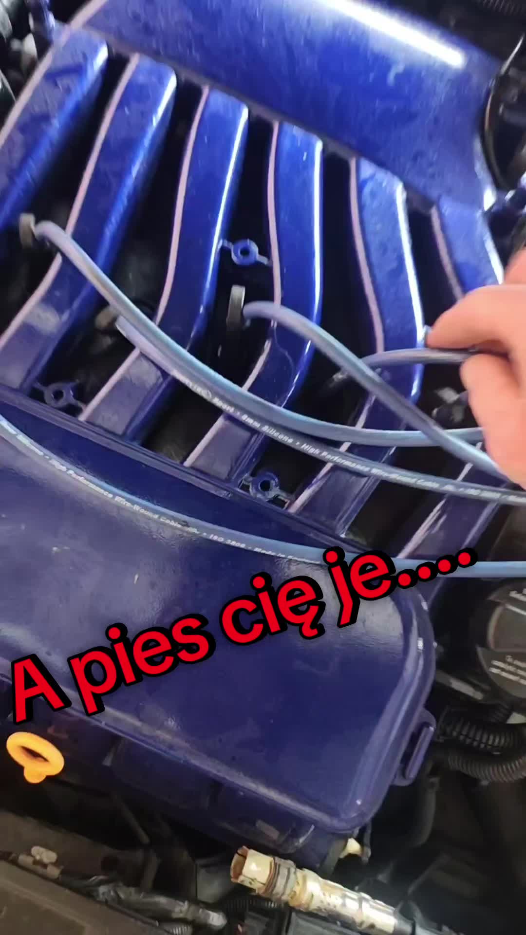 @best
