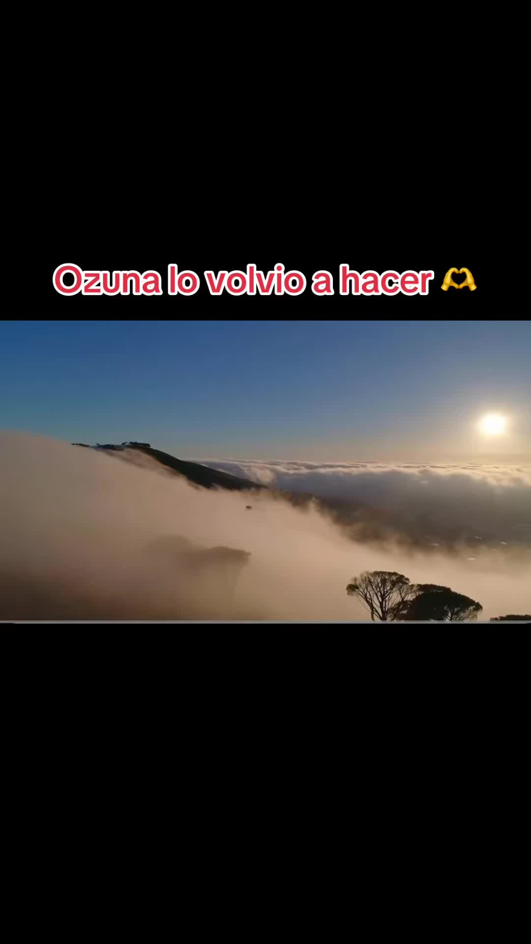 @La Güeris 😉
