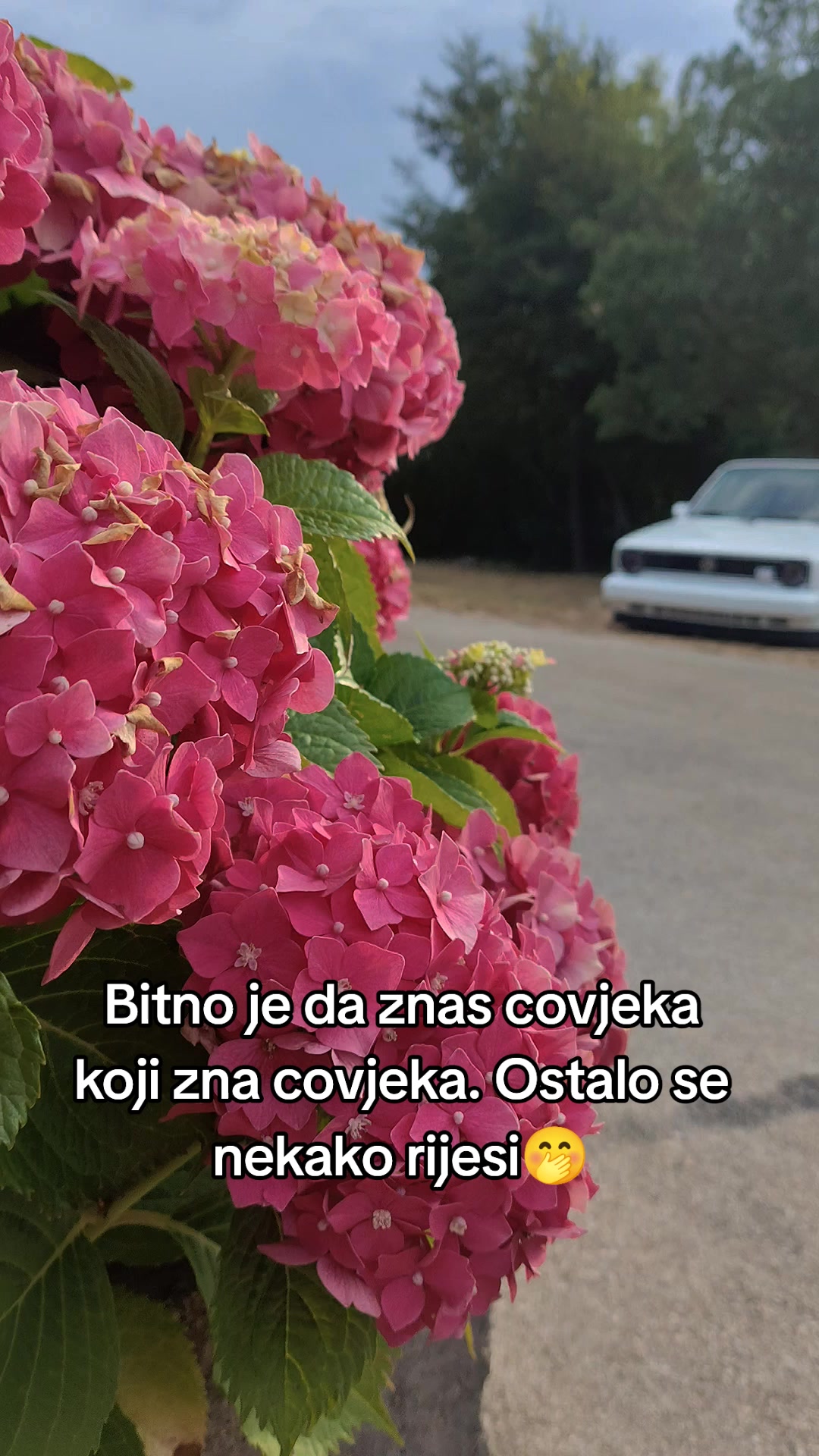 @KUTLE_MK5🥷🏻