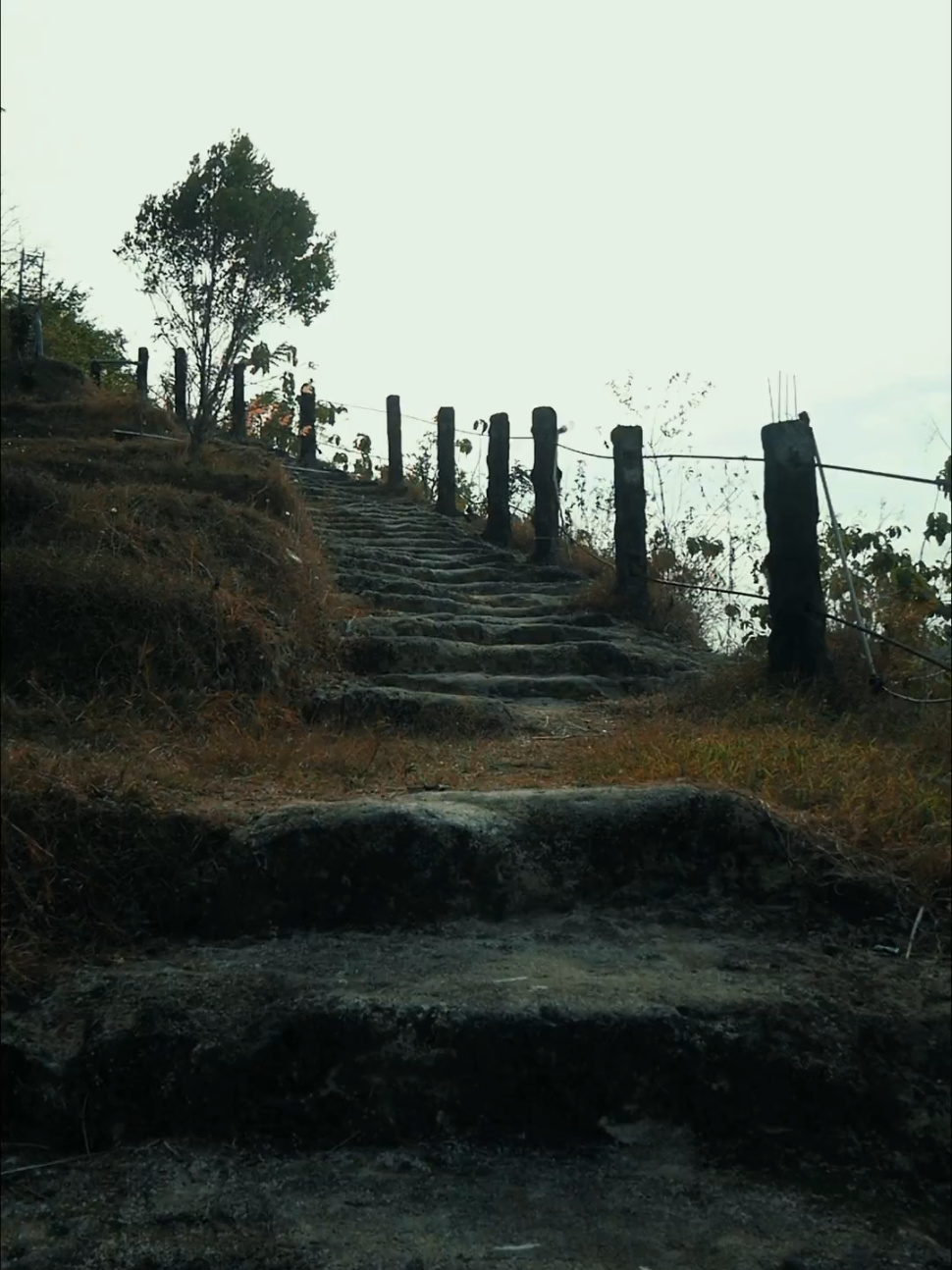 @Traveler Medioker ~