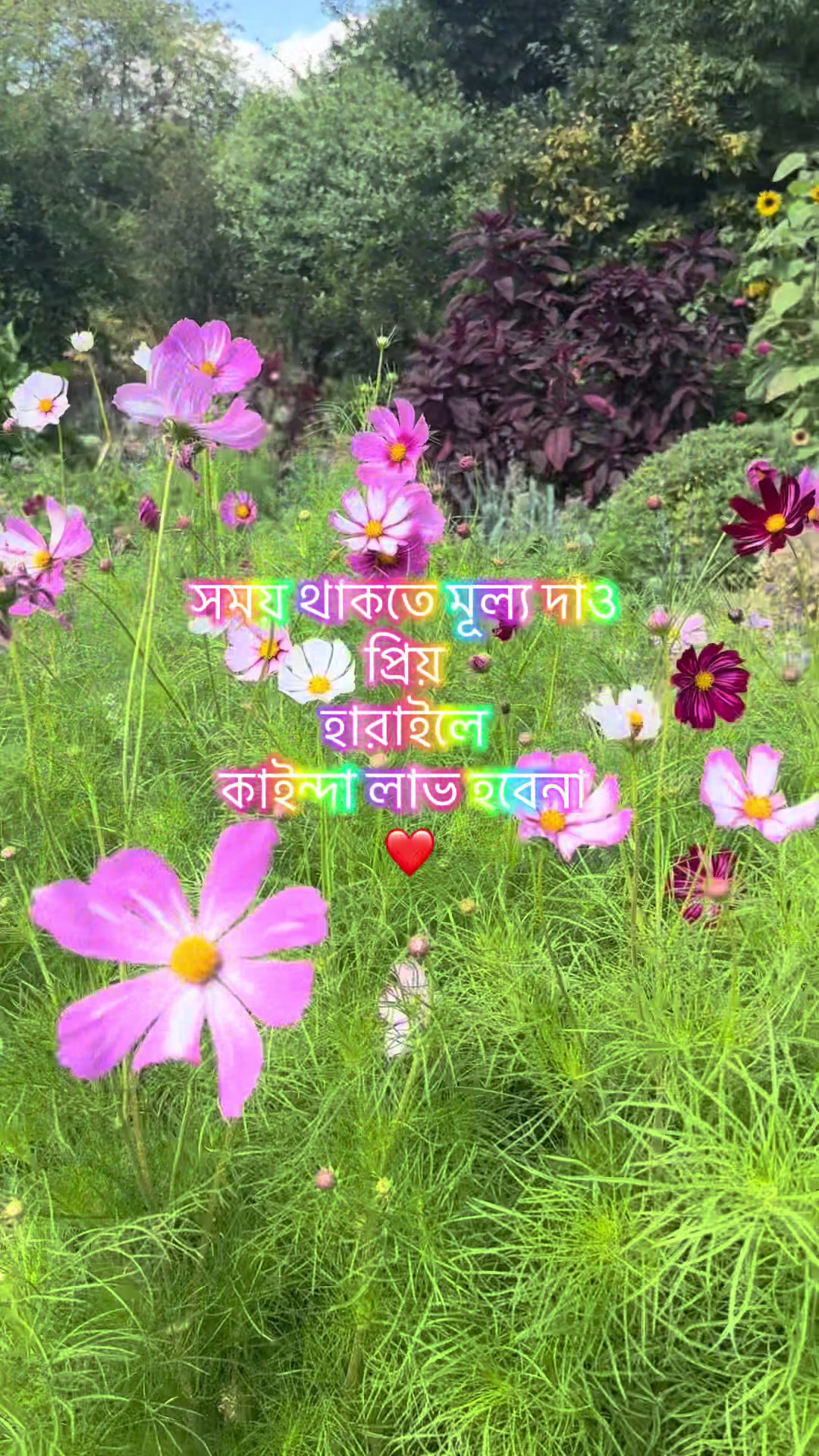 @Salma uk