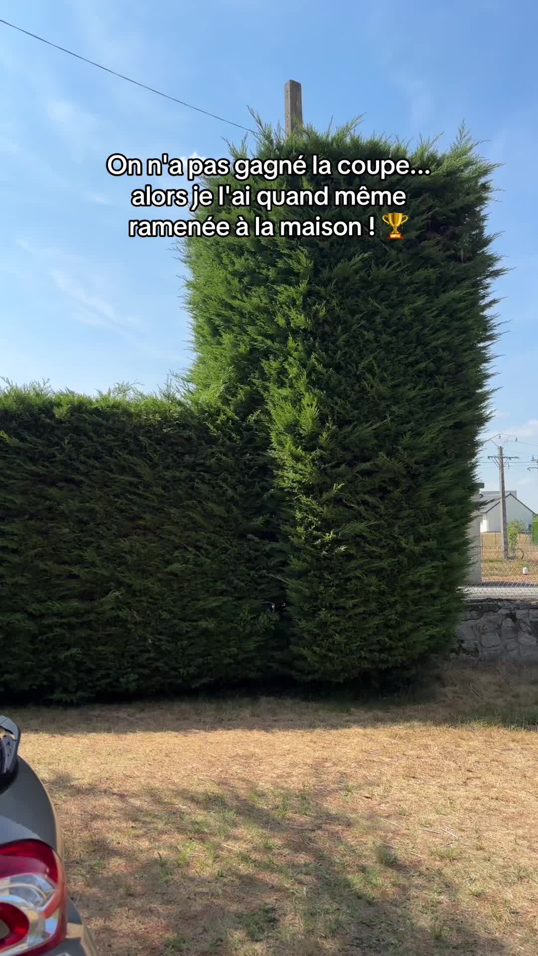 @arnaud_alr