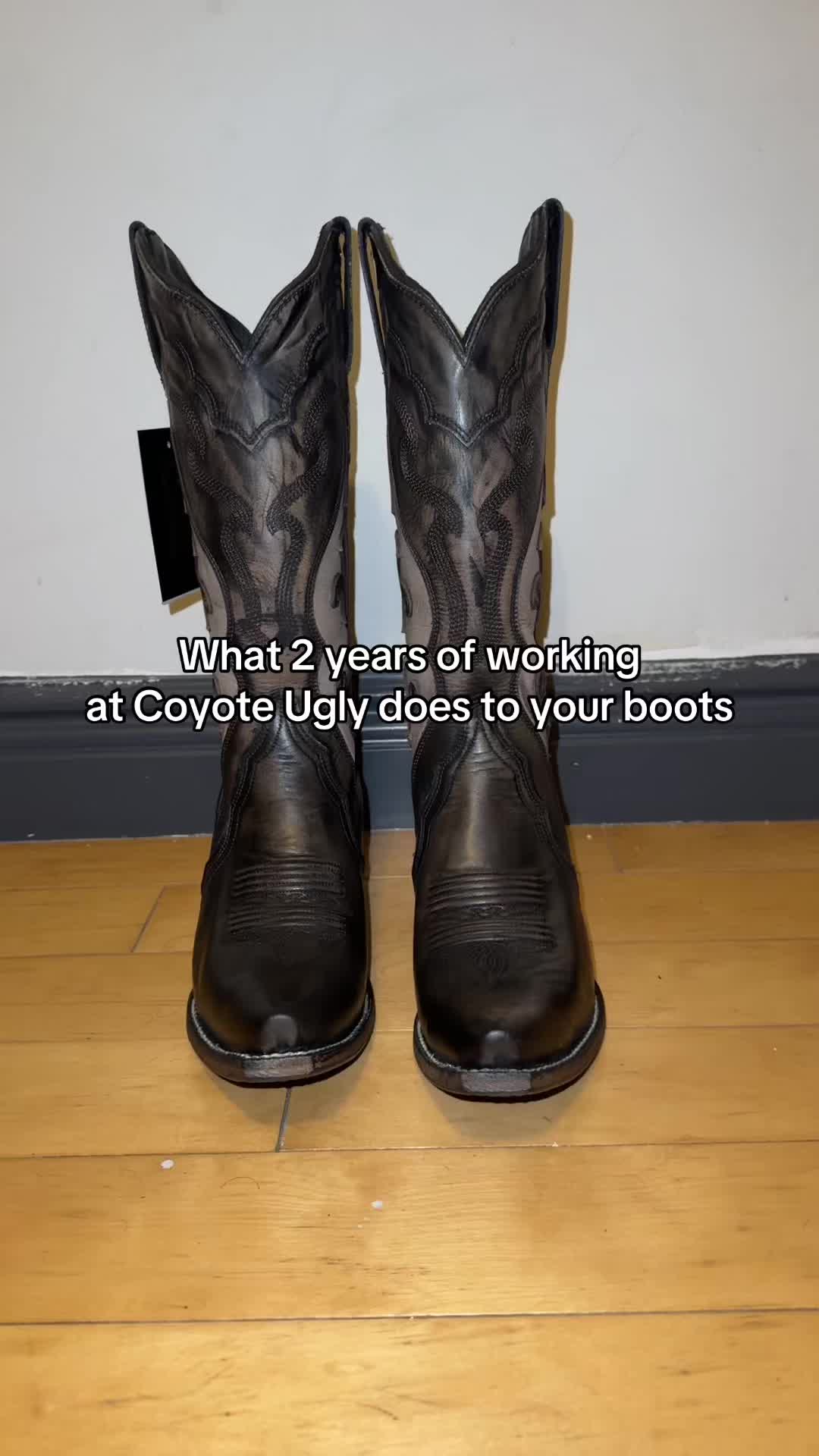 @Ellison The Coyote