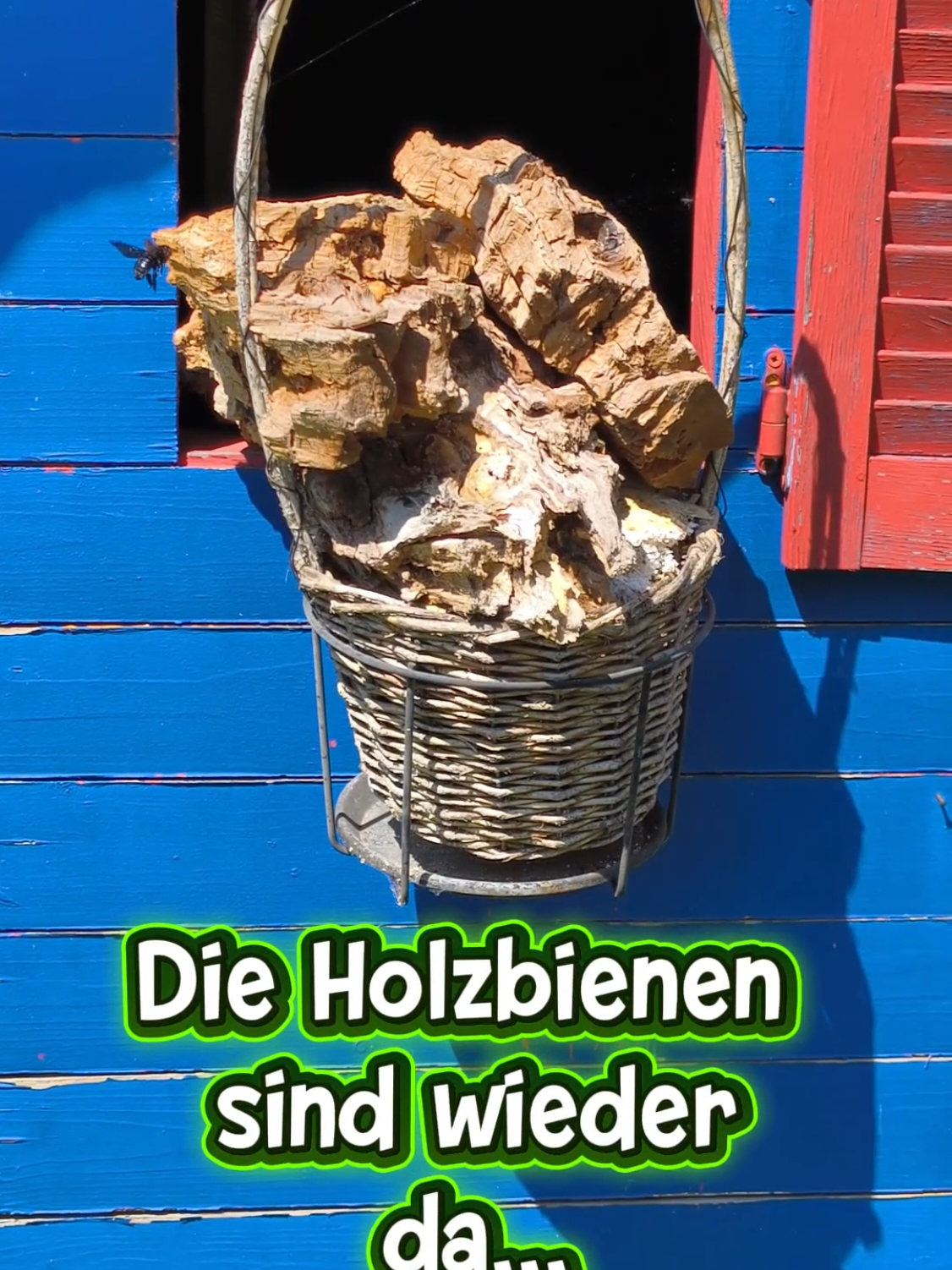 @ICH BIN'S