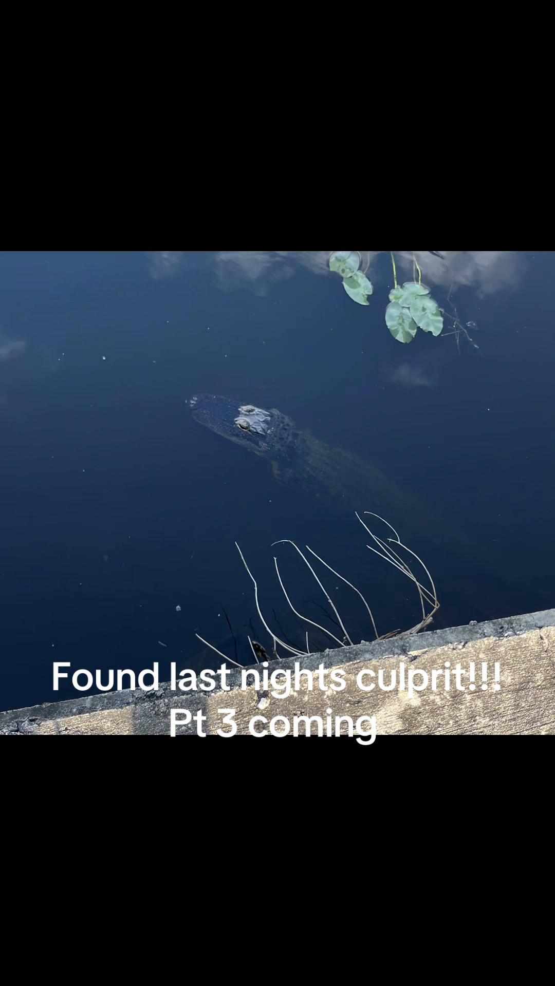 @PickleFishin