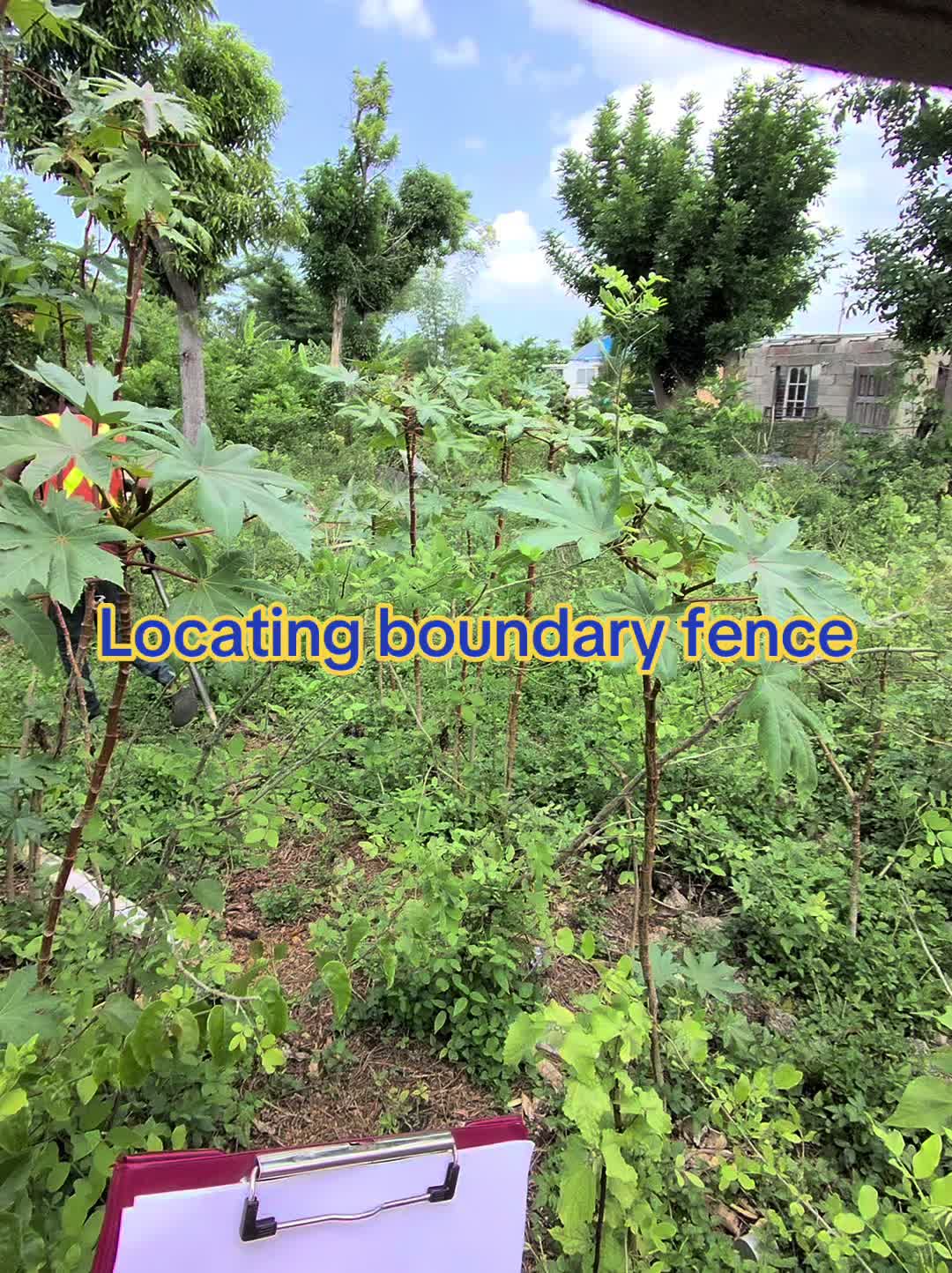 @jamaicasurveyors