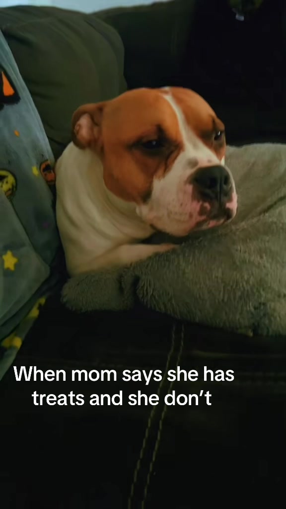 @Dezzy_diane