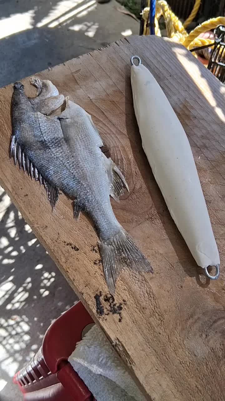 @Fish Skin Lures