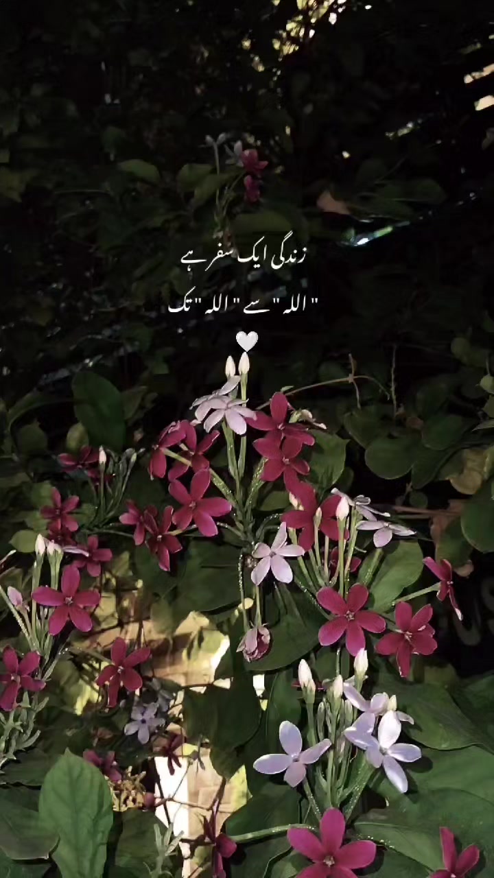 @mishy♡❀