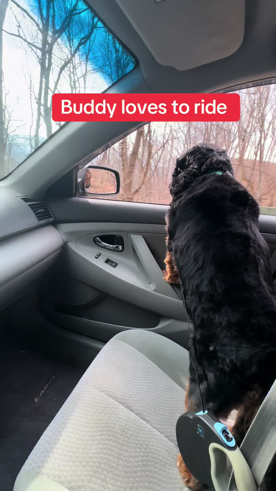 @BurrBabies4