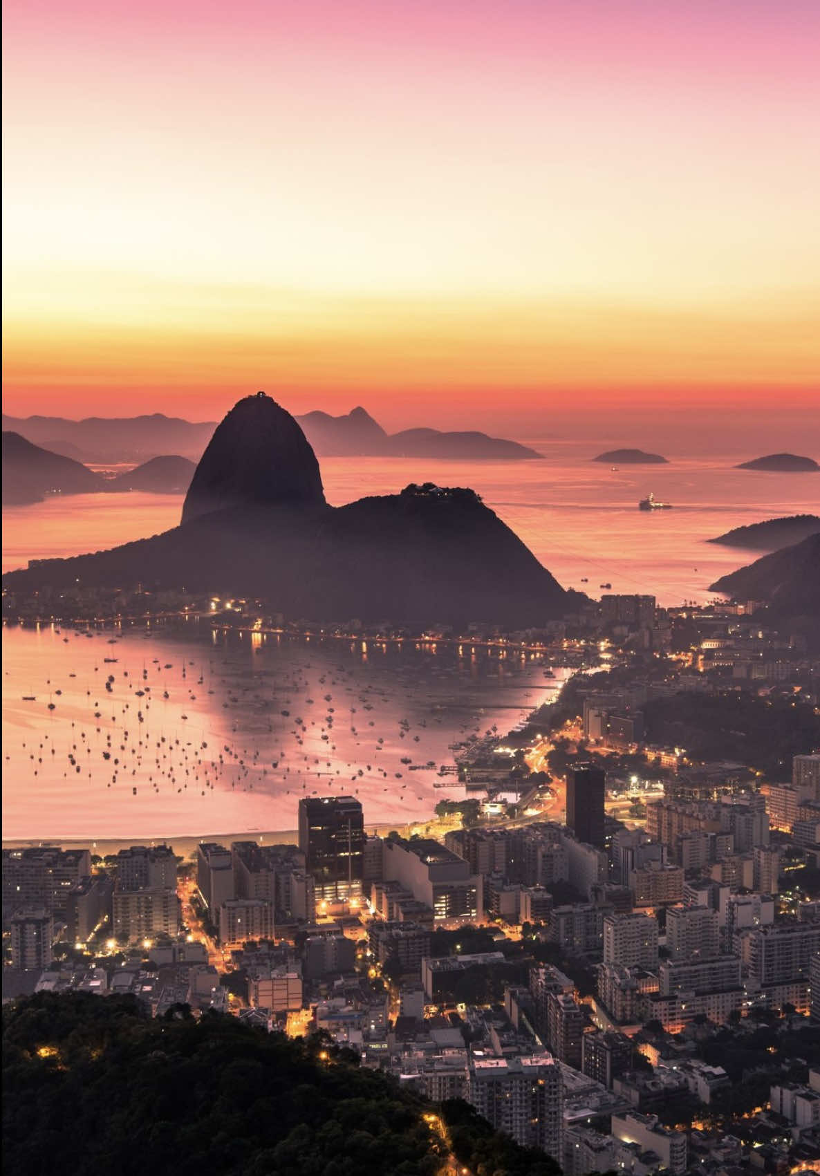 @Dietitians Beyond Borders